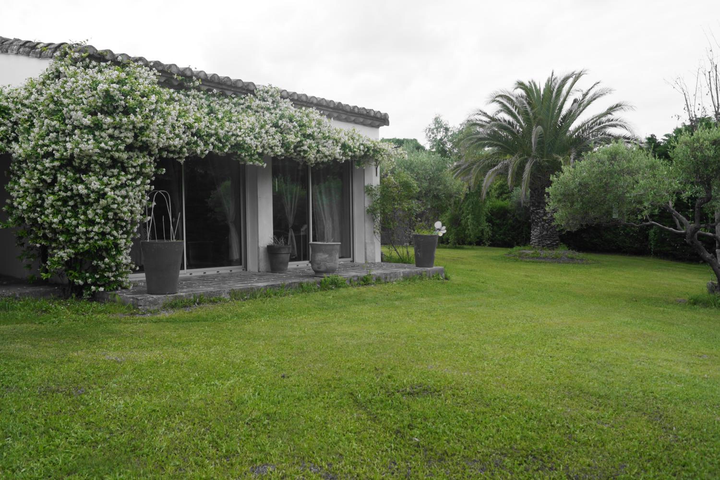 Studio au coeur de la petite camargue view 3