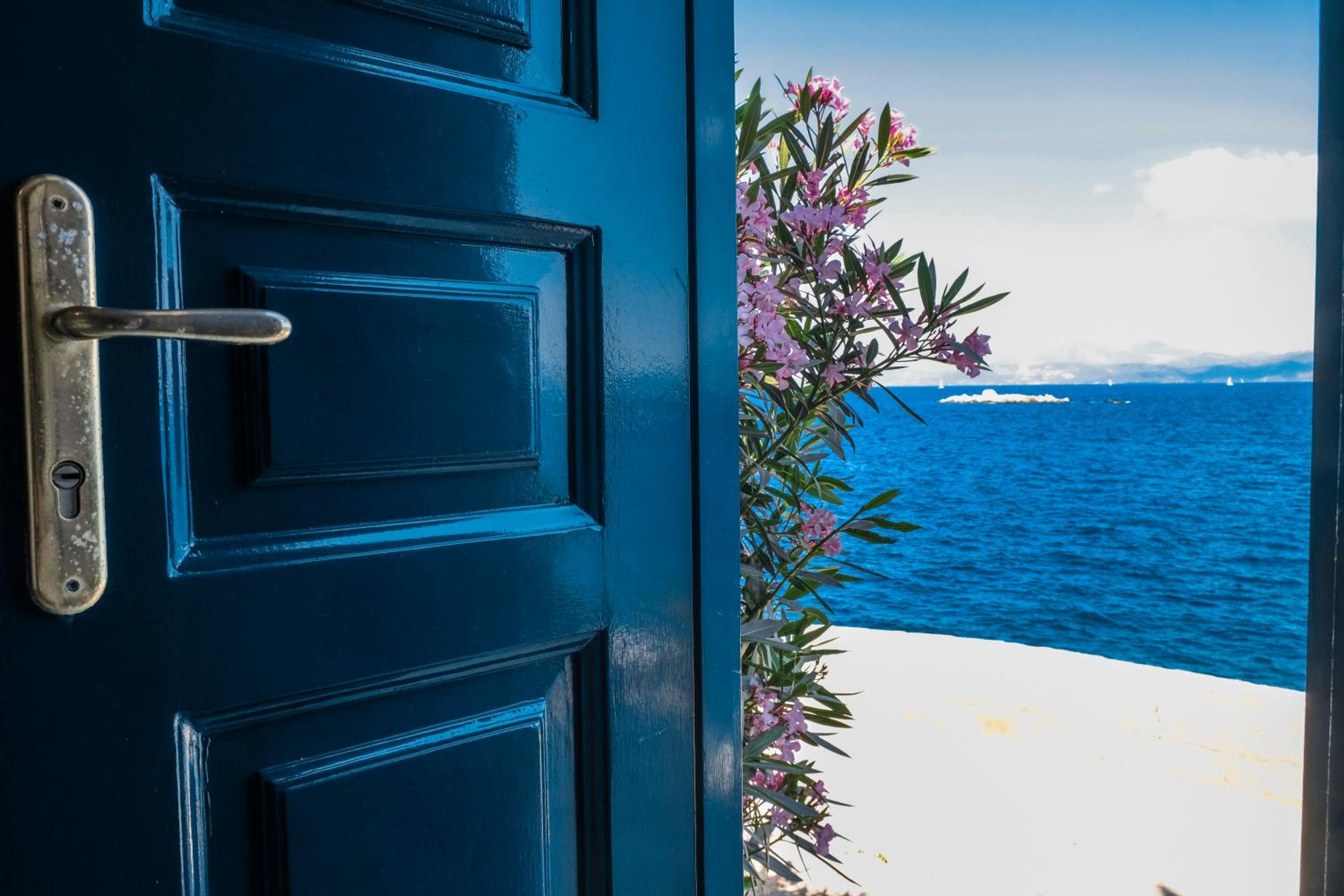 Lotus Sweet Home Hydra