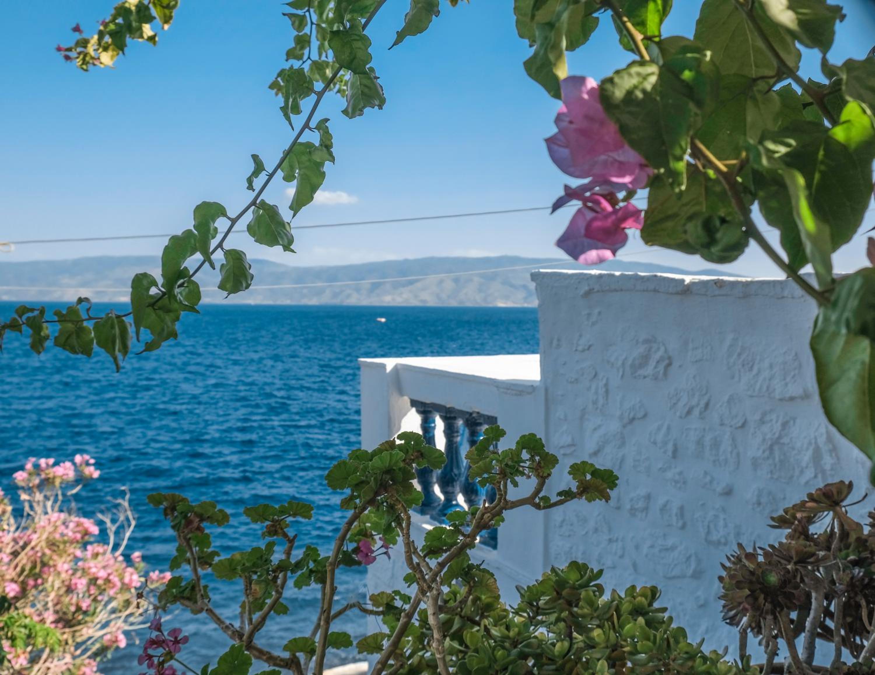 Lotus Sweet Home Hydra