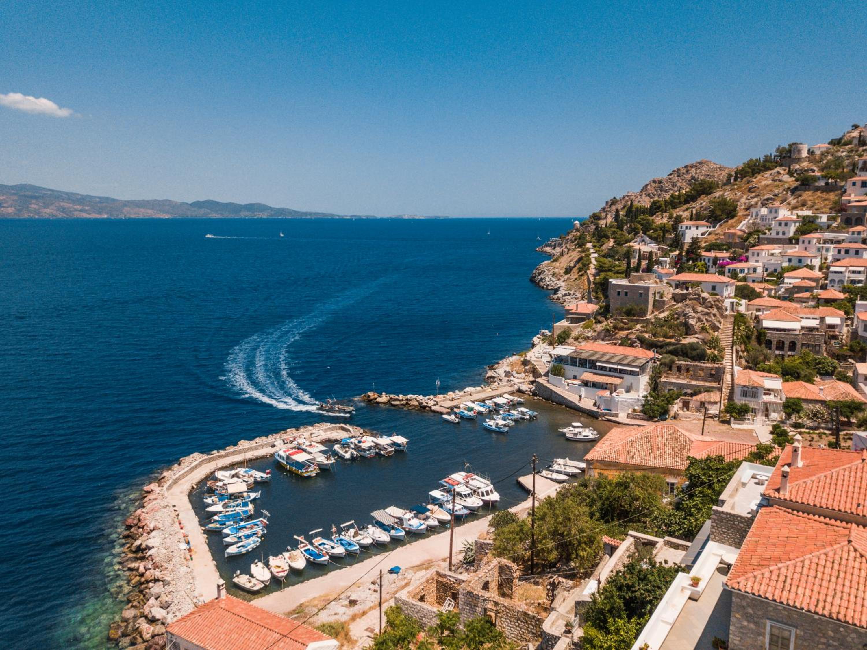 Lotus Sweet Home Hydra