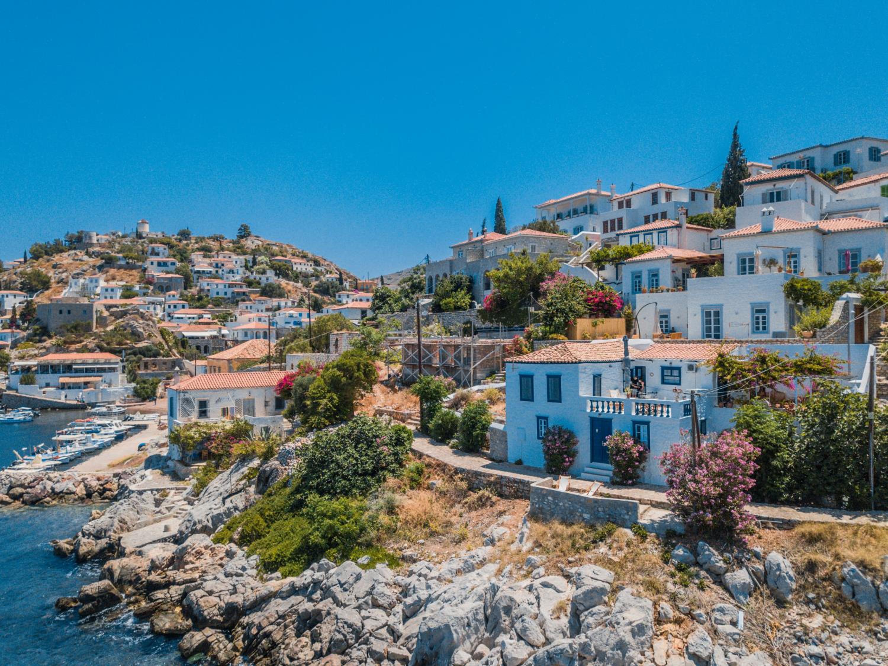 Lotus Sweet Home Hydra