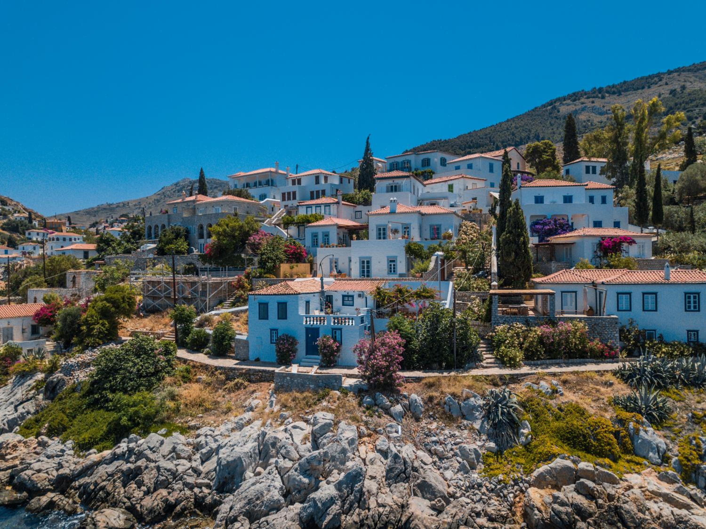 Lotus Sweet Home Hydra