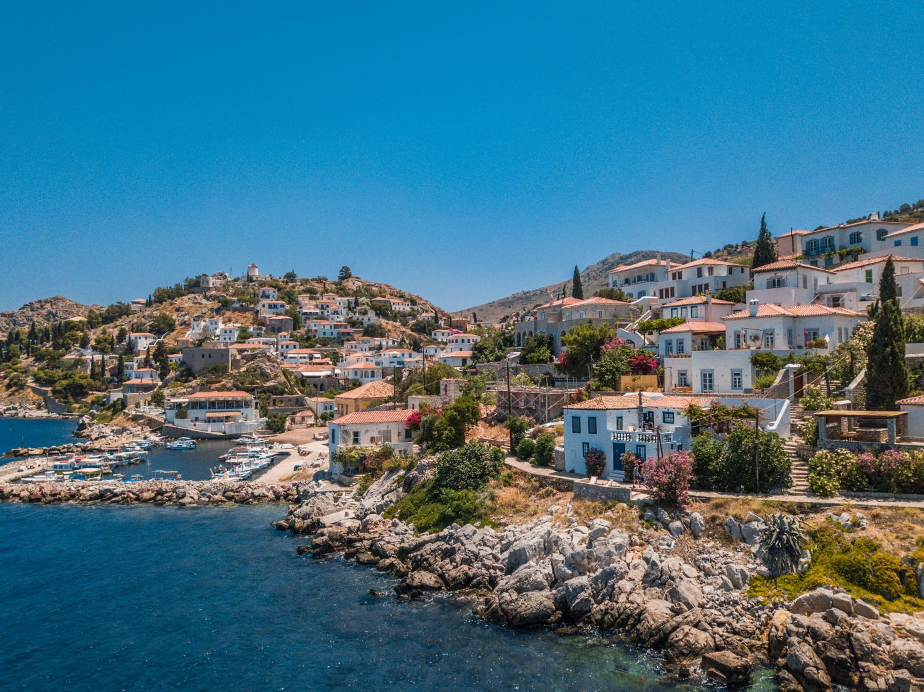 Lotus Sweet Home Hydra