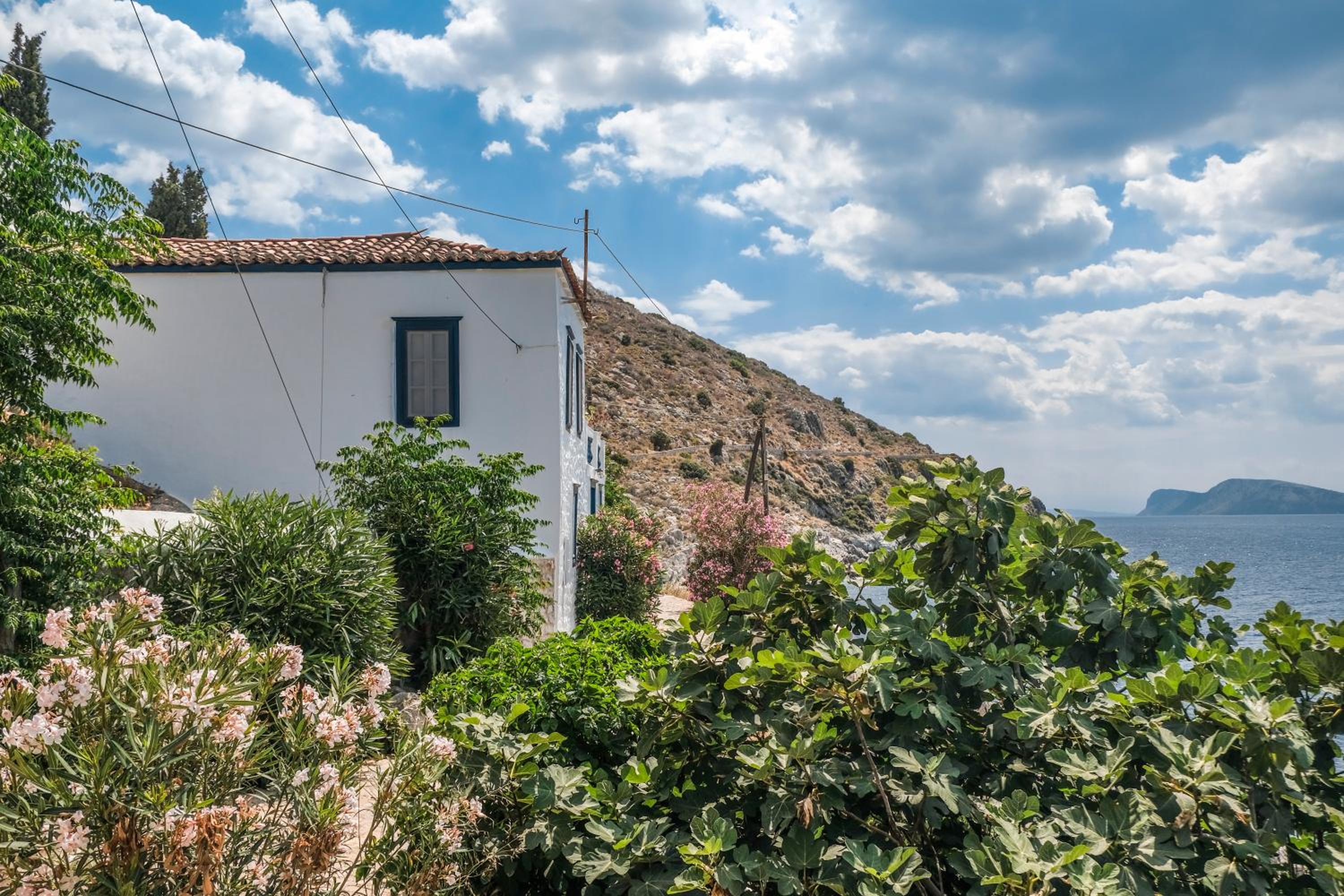 Lotus Sweet Home Hydra