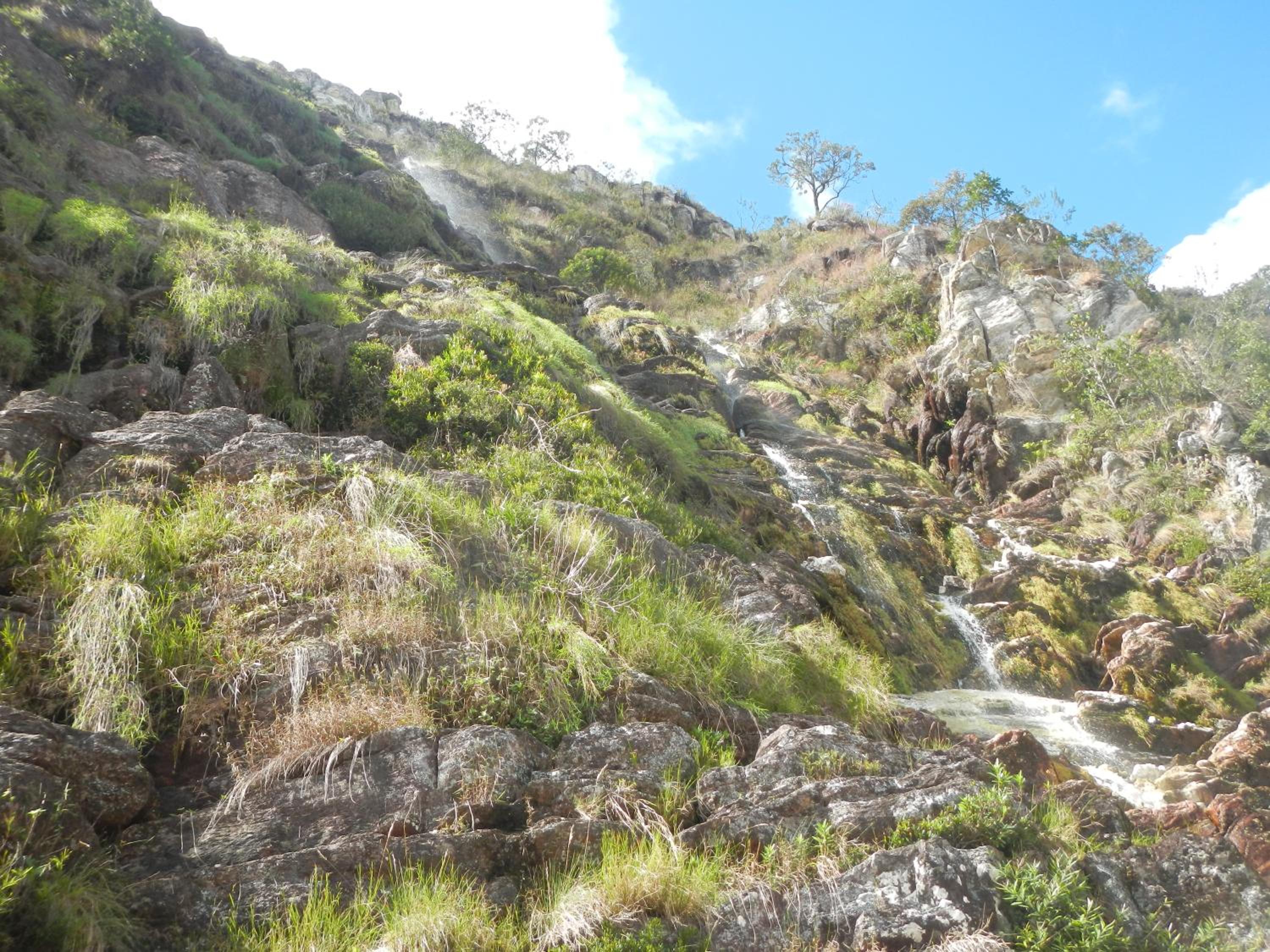 Casas da Paty