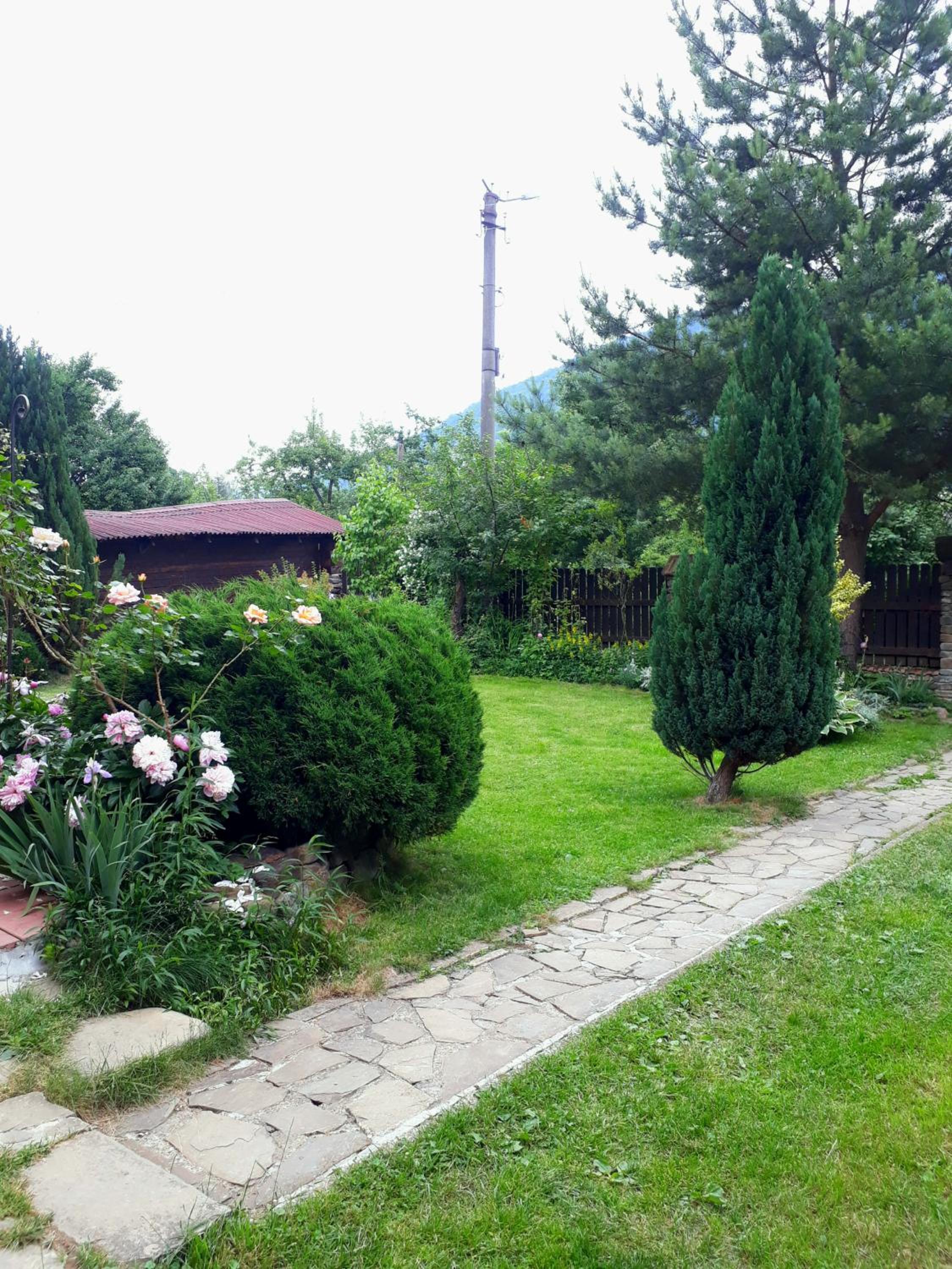 Photo 63
