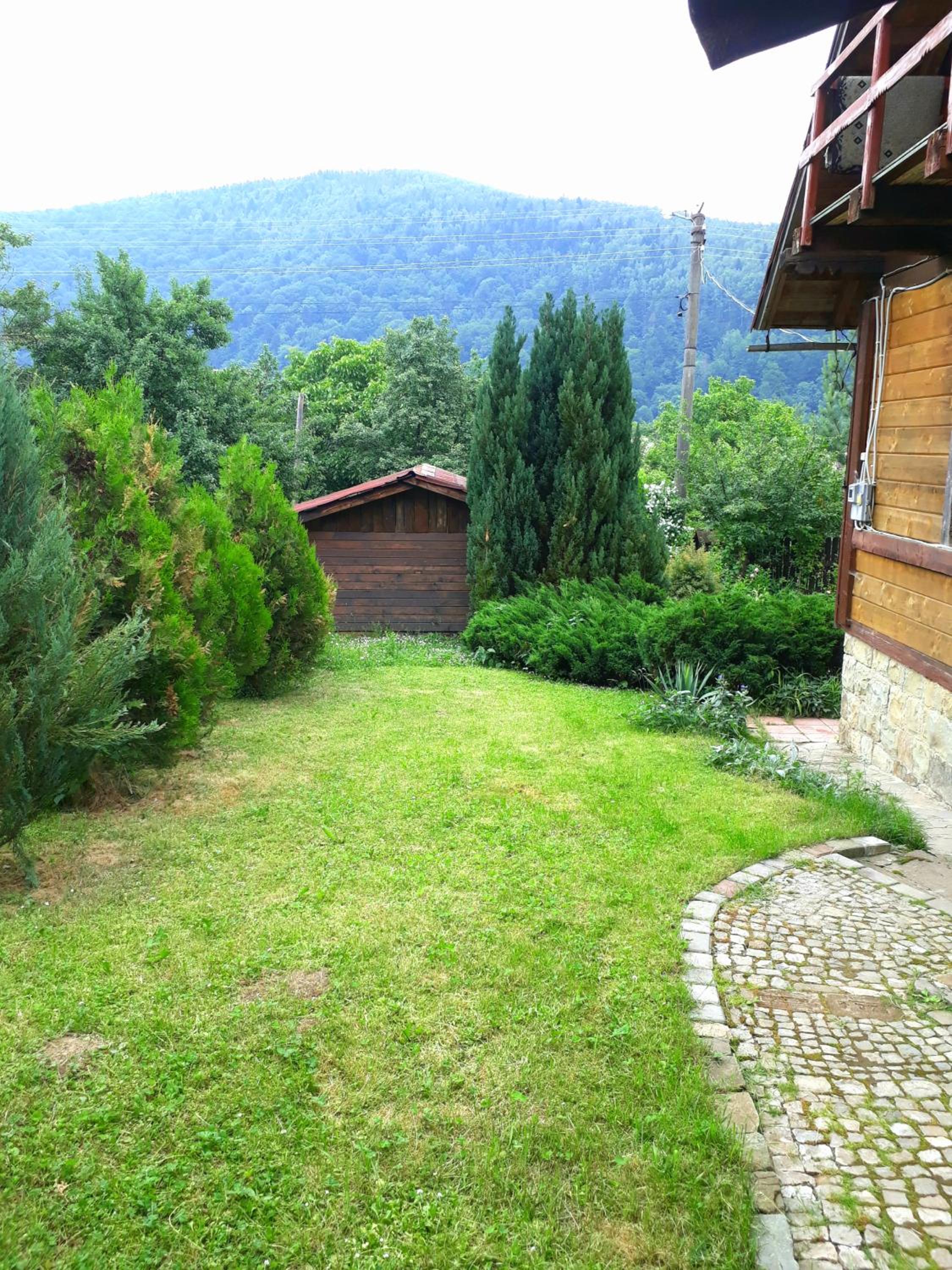 Photo 61