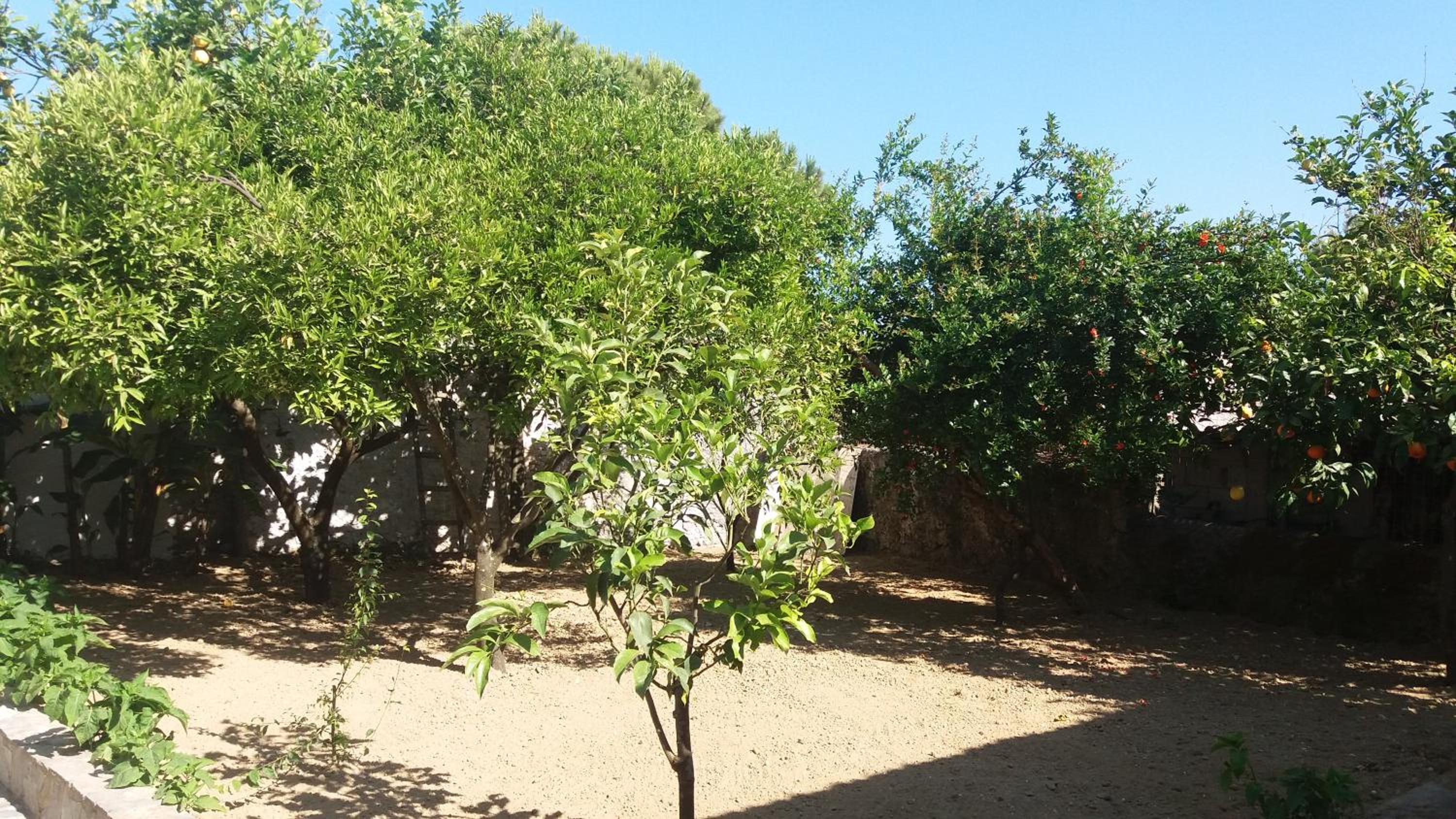 Photo 17
