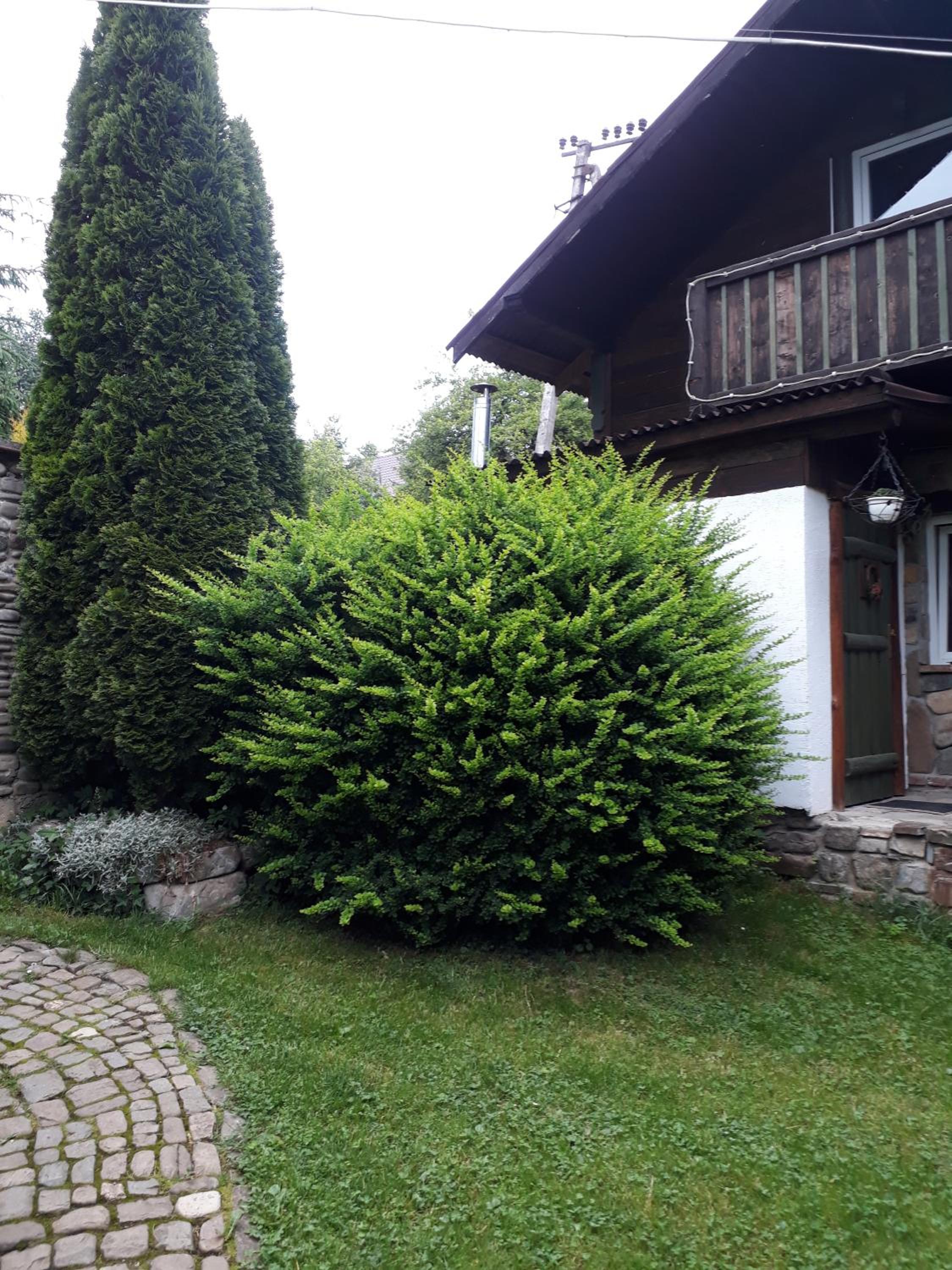 Photo 58