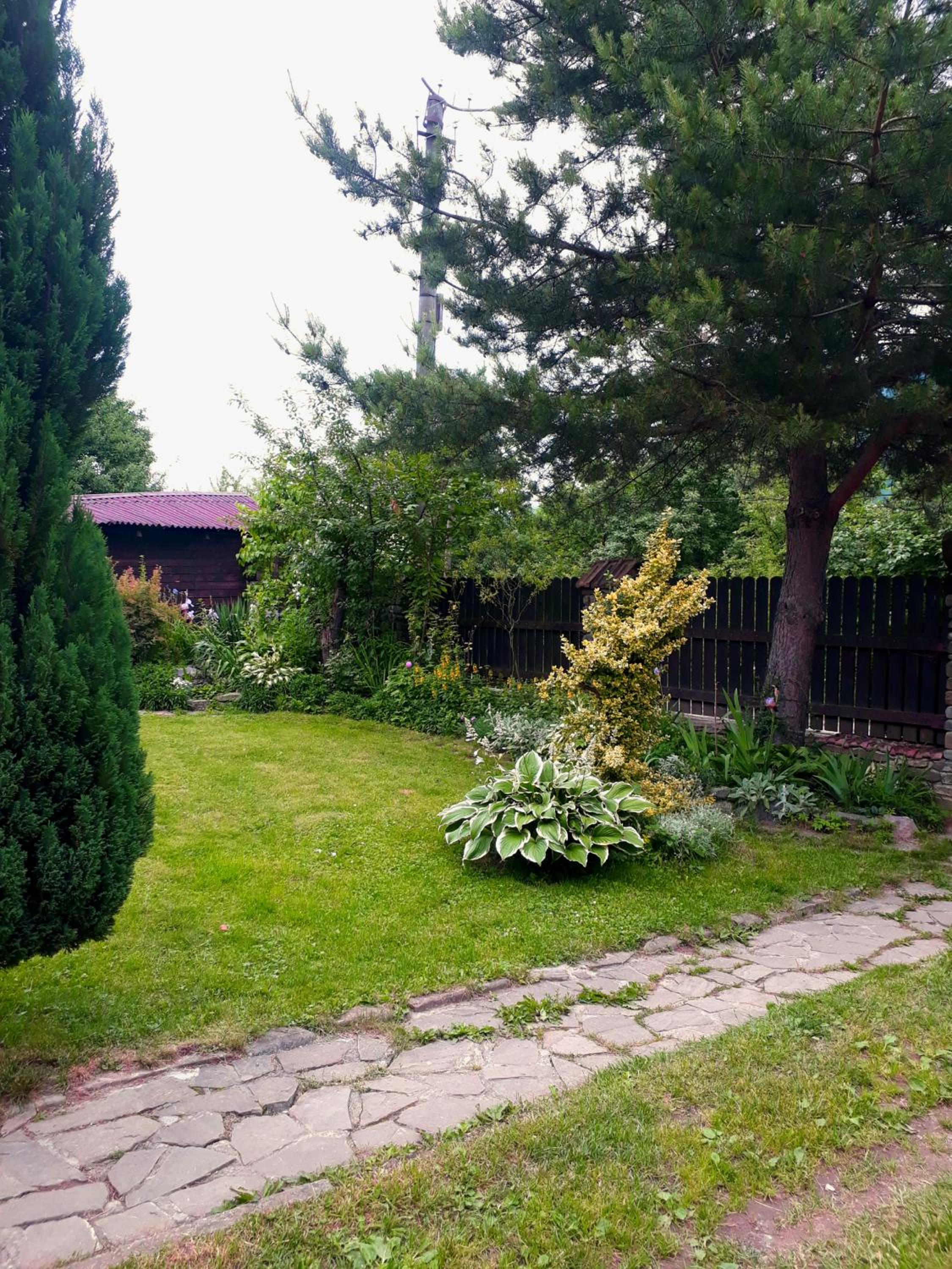 Photo 55