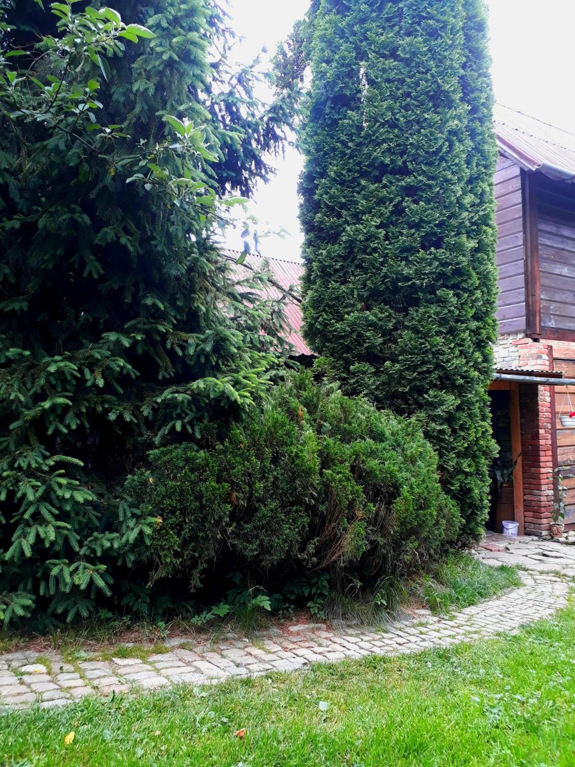 Photo 53