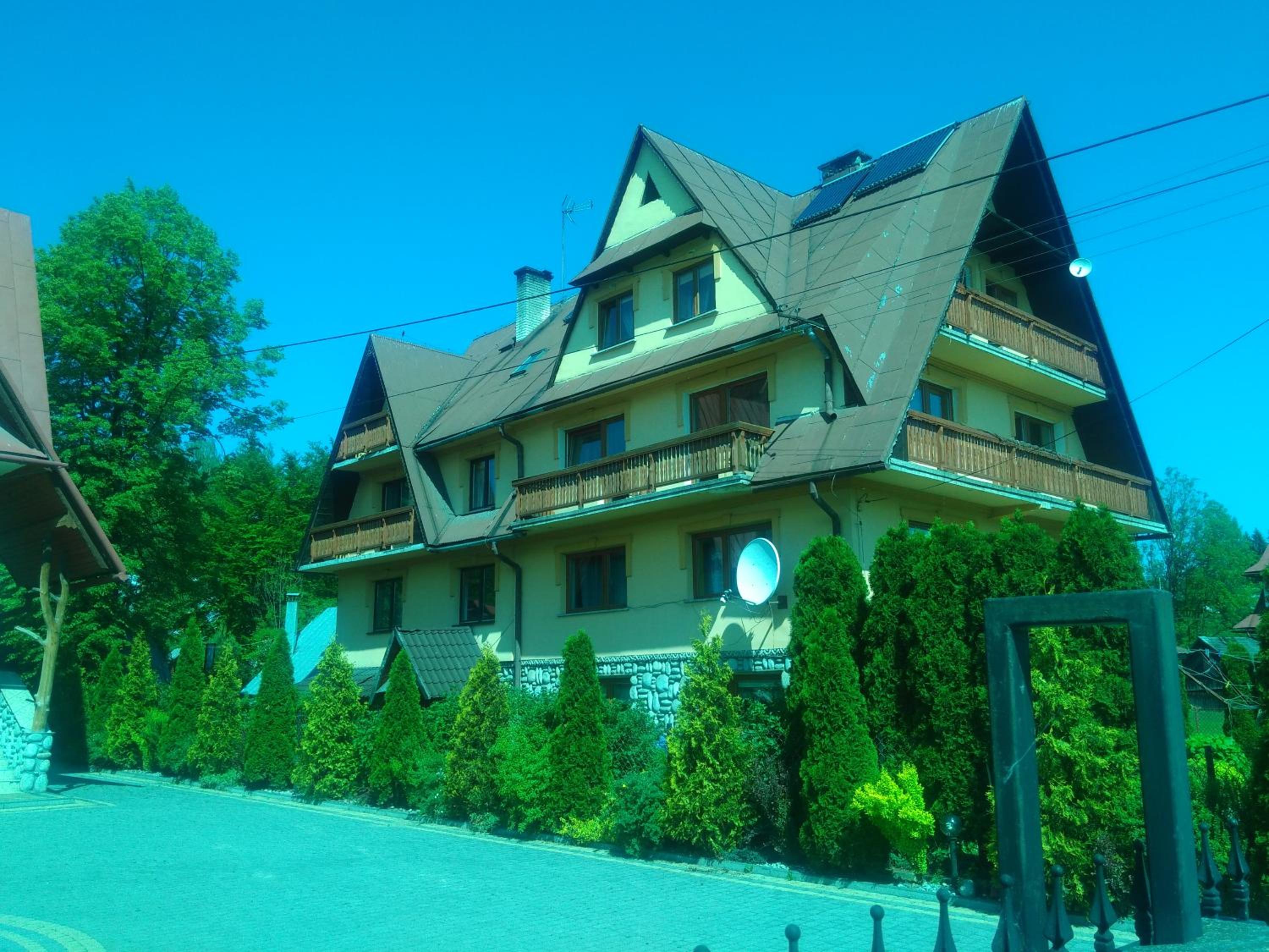 Photo 6