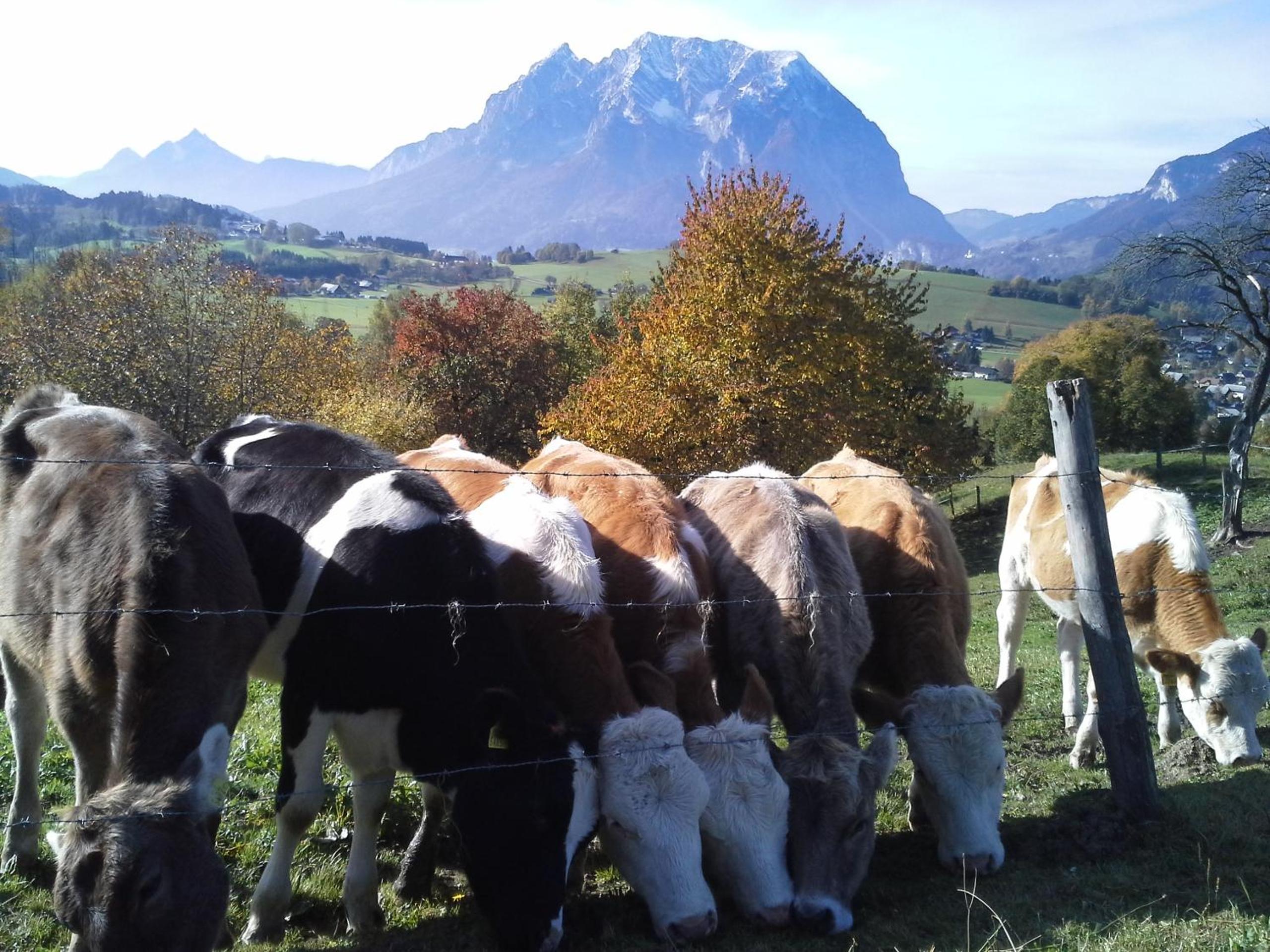 Hüttstädterhof Familie Pötsch