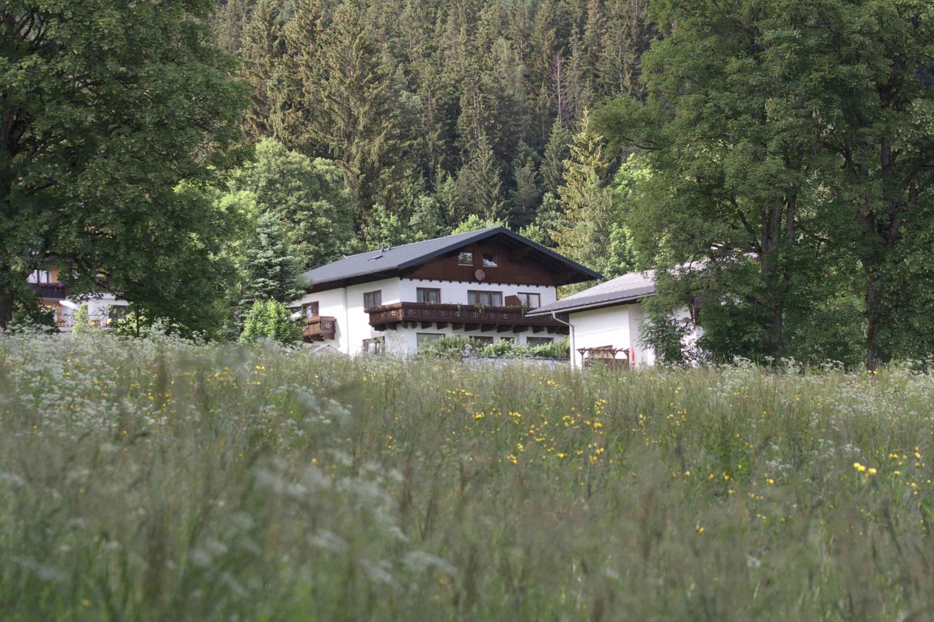 Kulmblick view 5