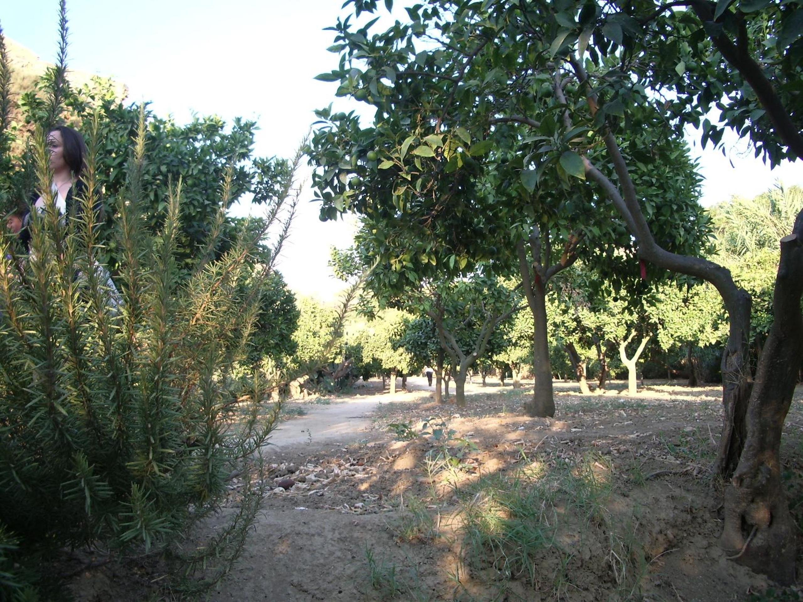 Villa dei giardini