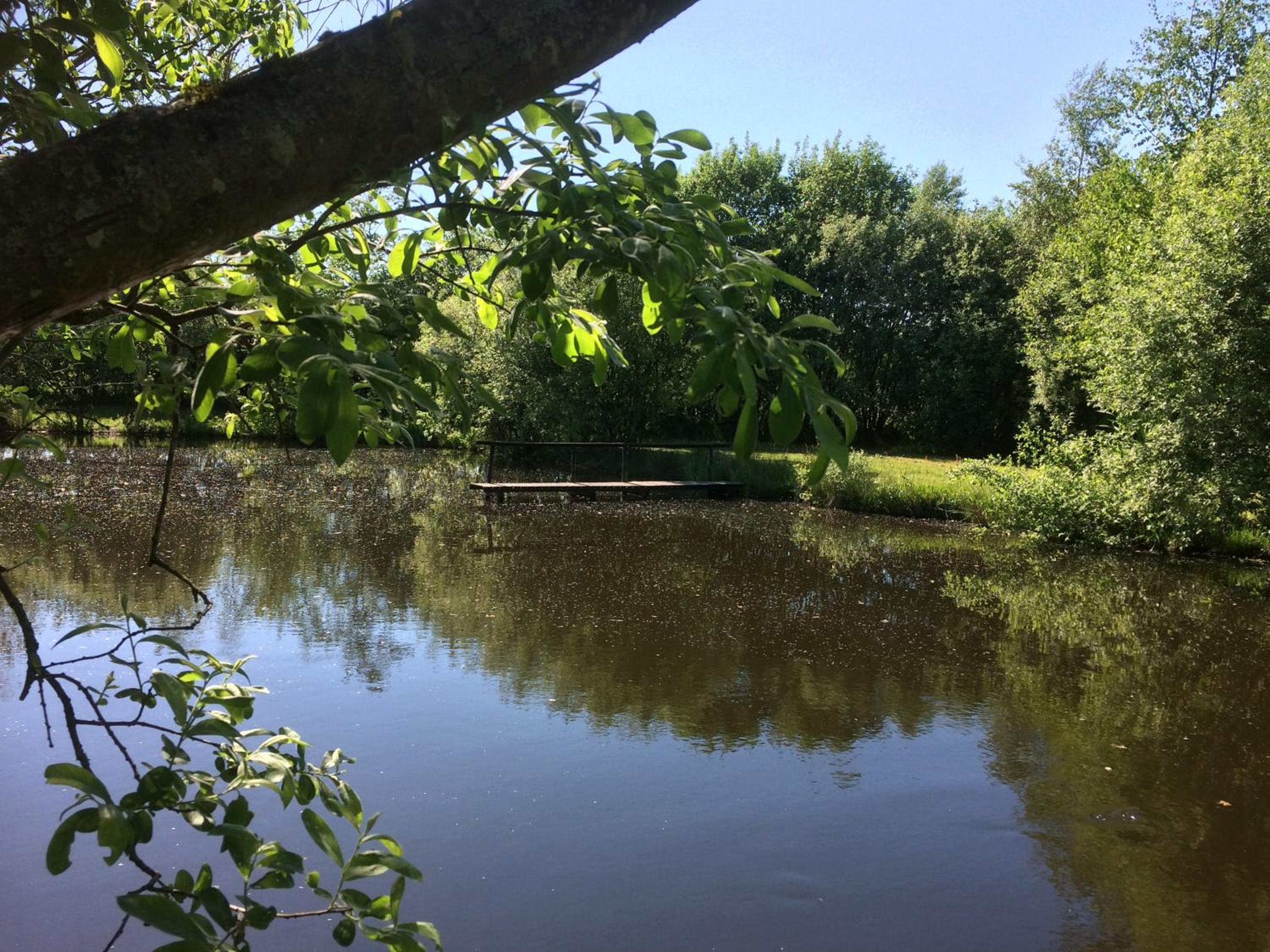 Photo 13