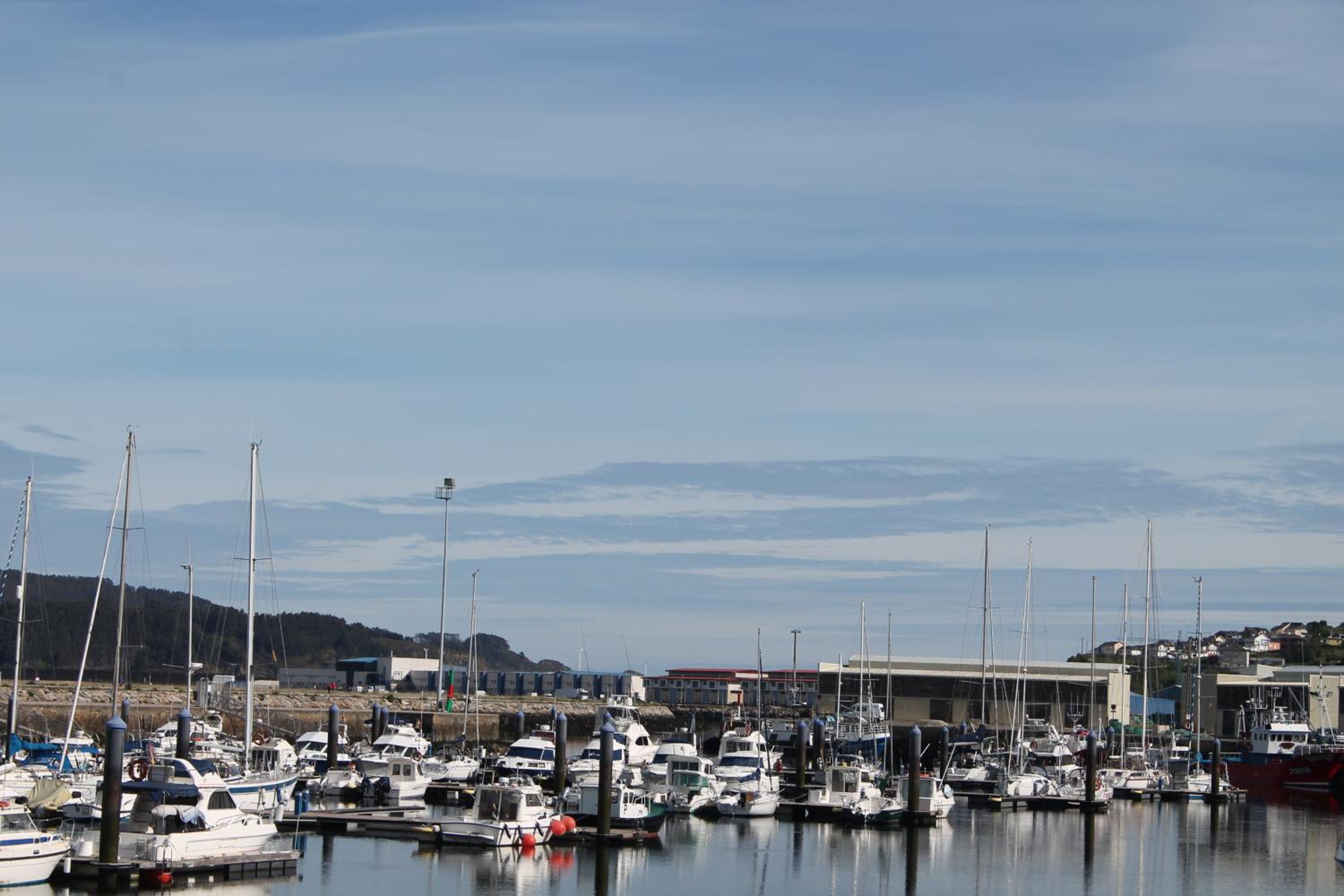 Viveiro