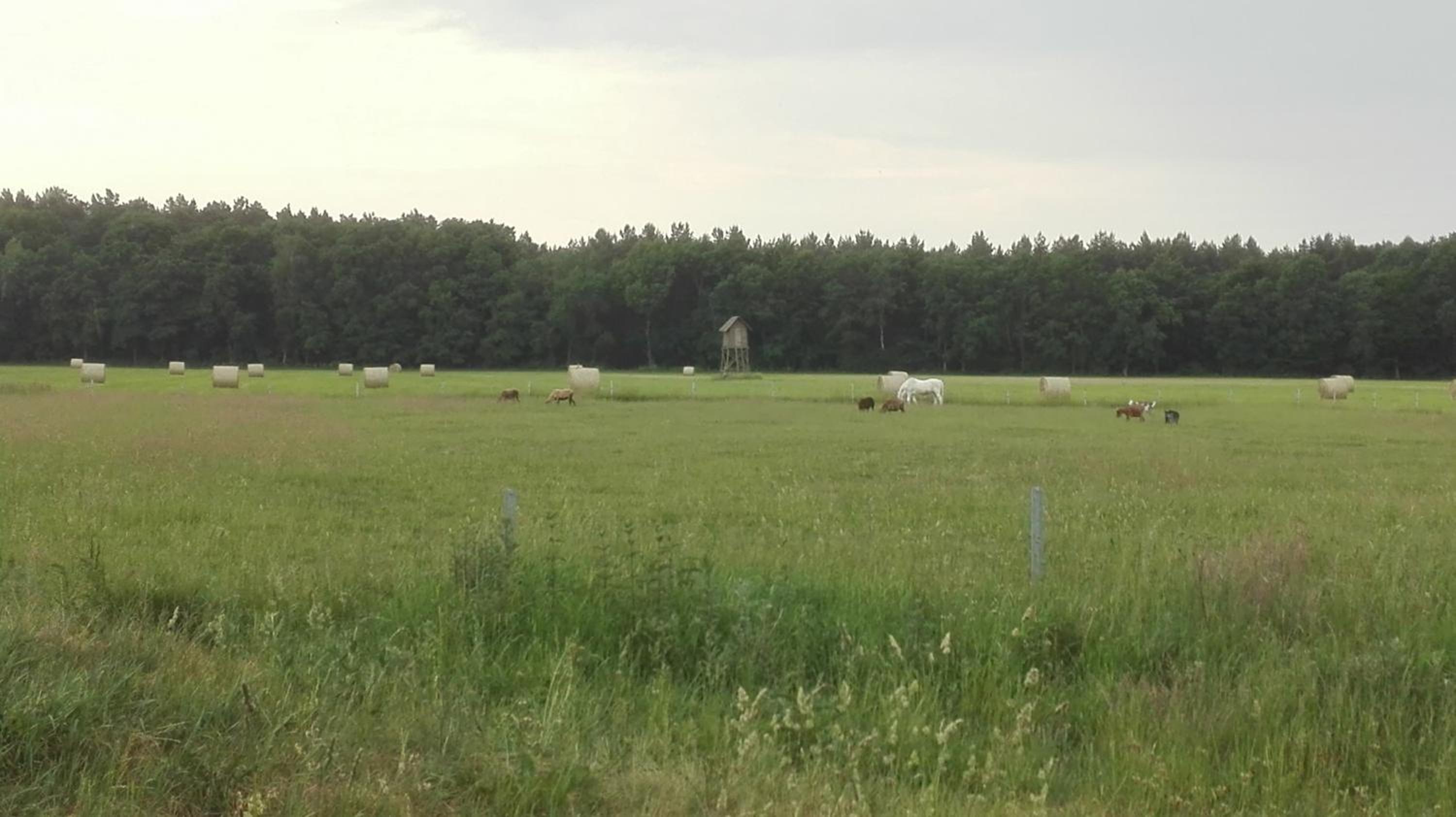 Ferien auf dem Lande