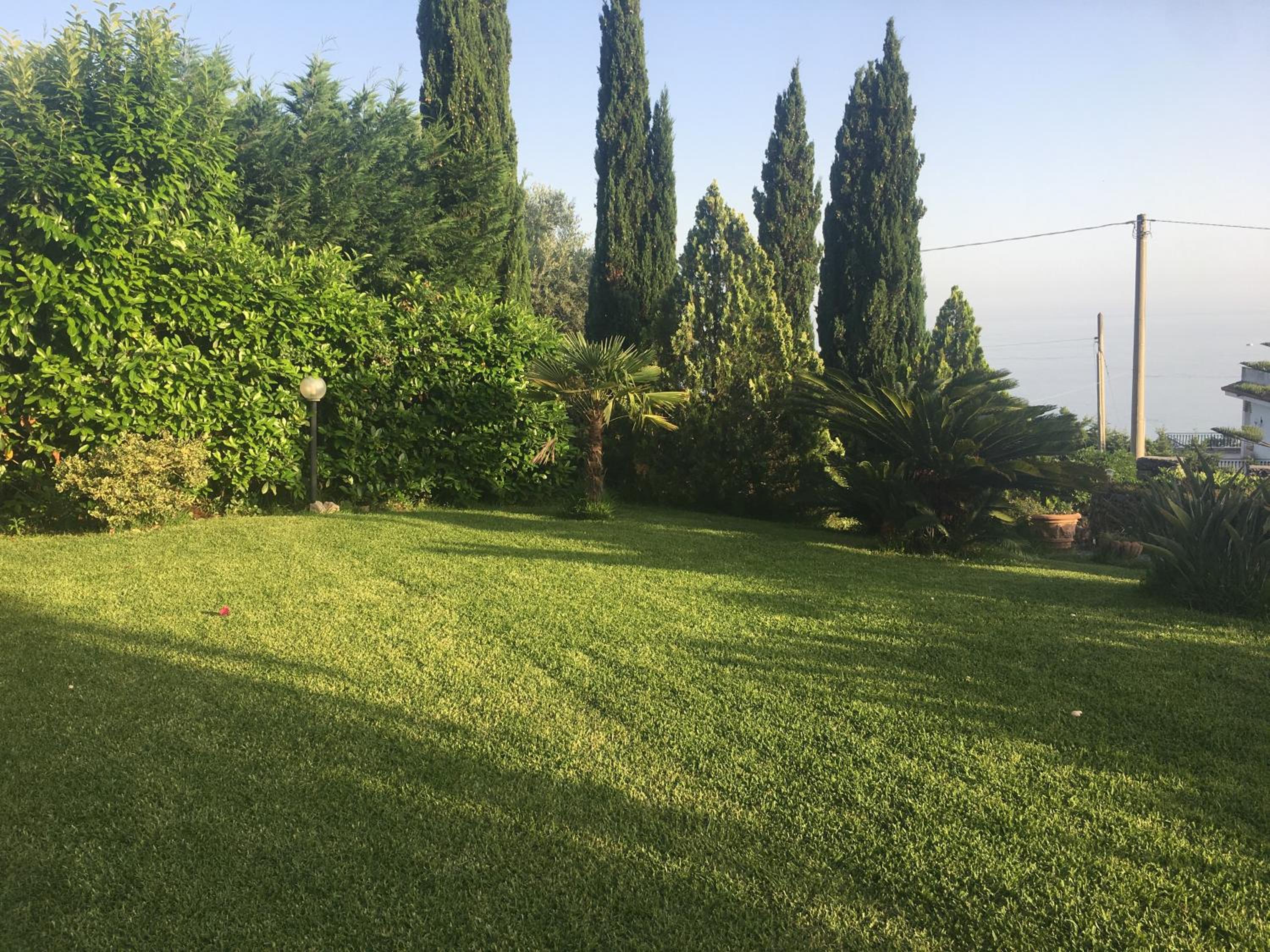 La Bouganville