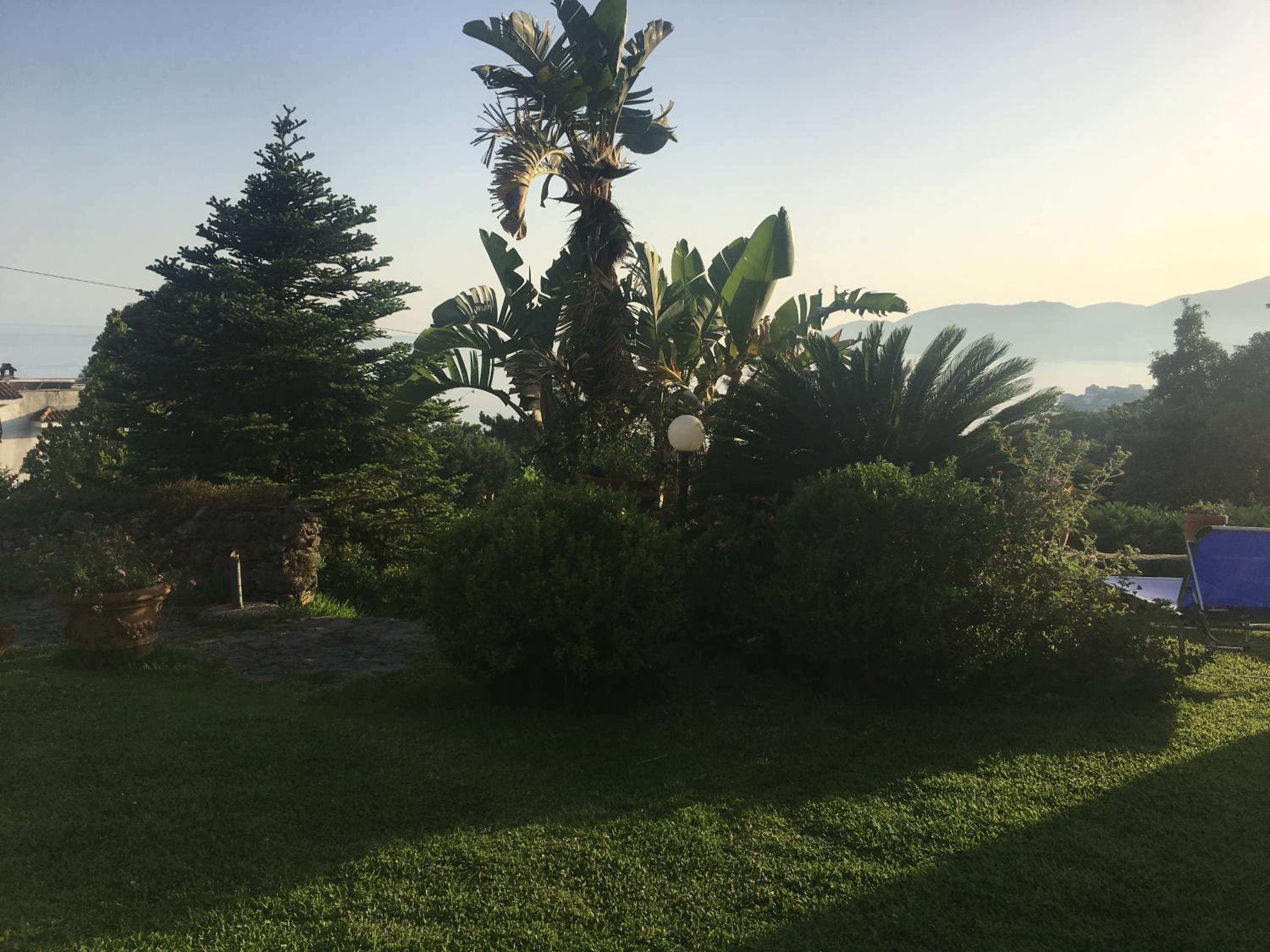 La Bouganville
