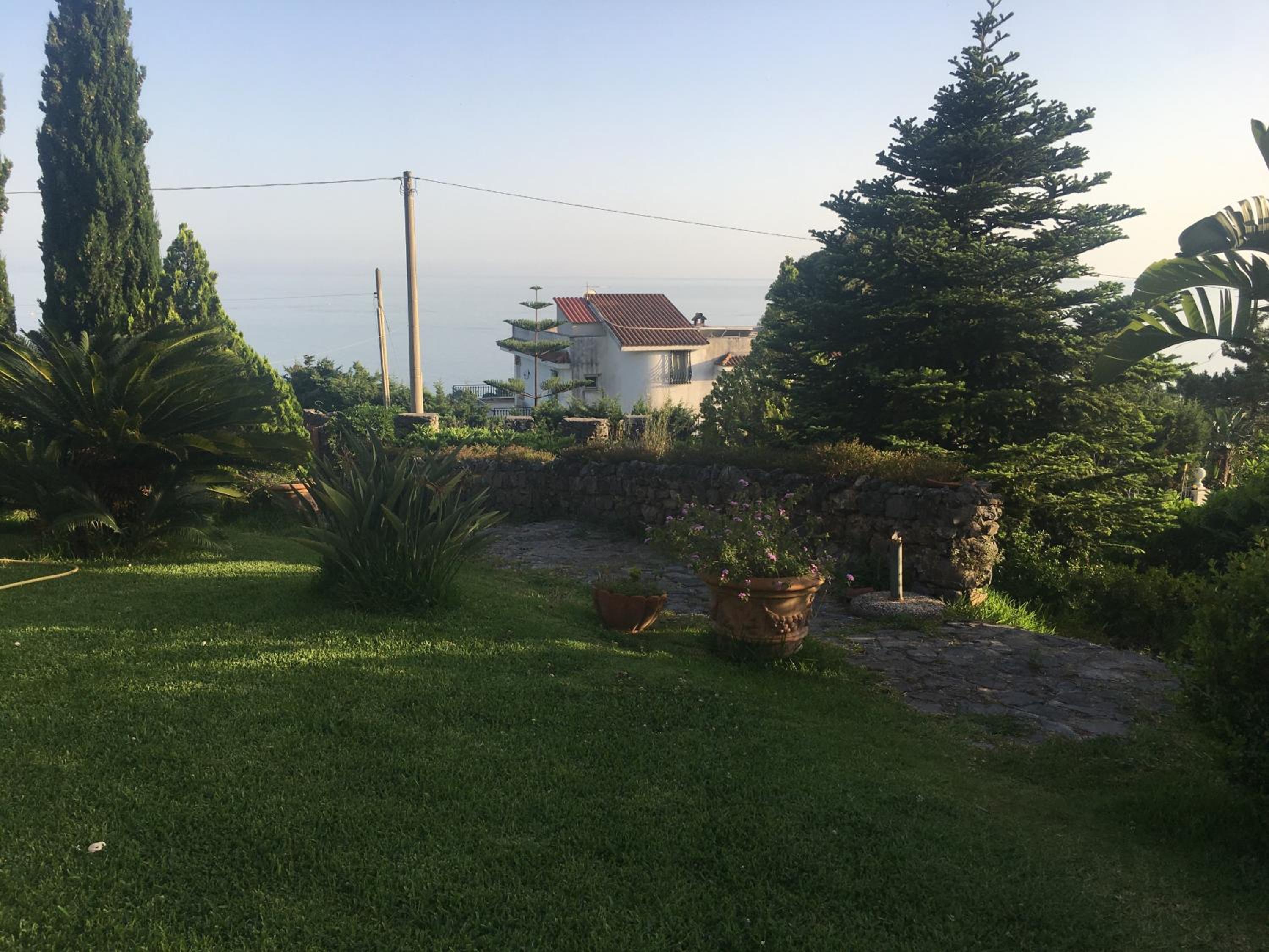 La Bouganville