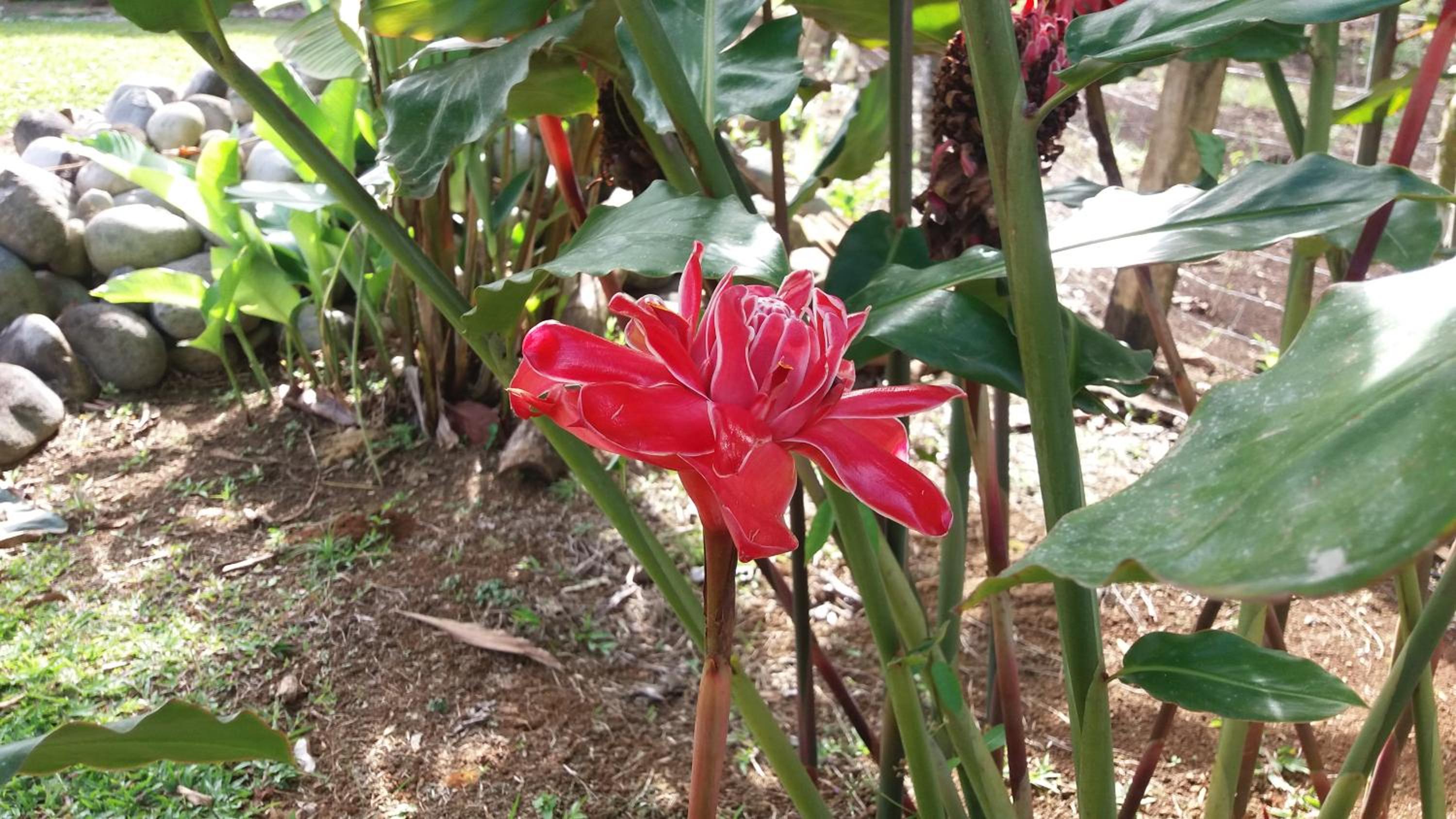 Posada Rural Oasis