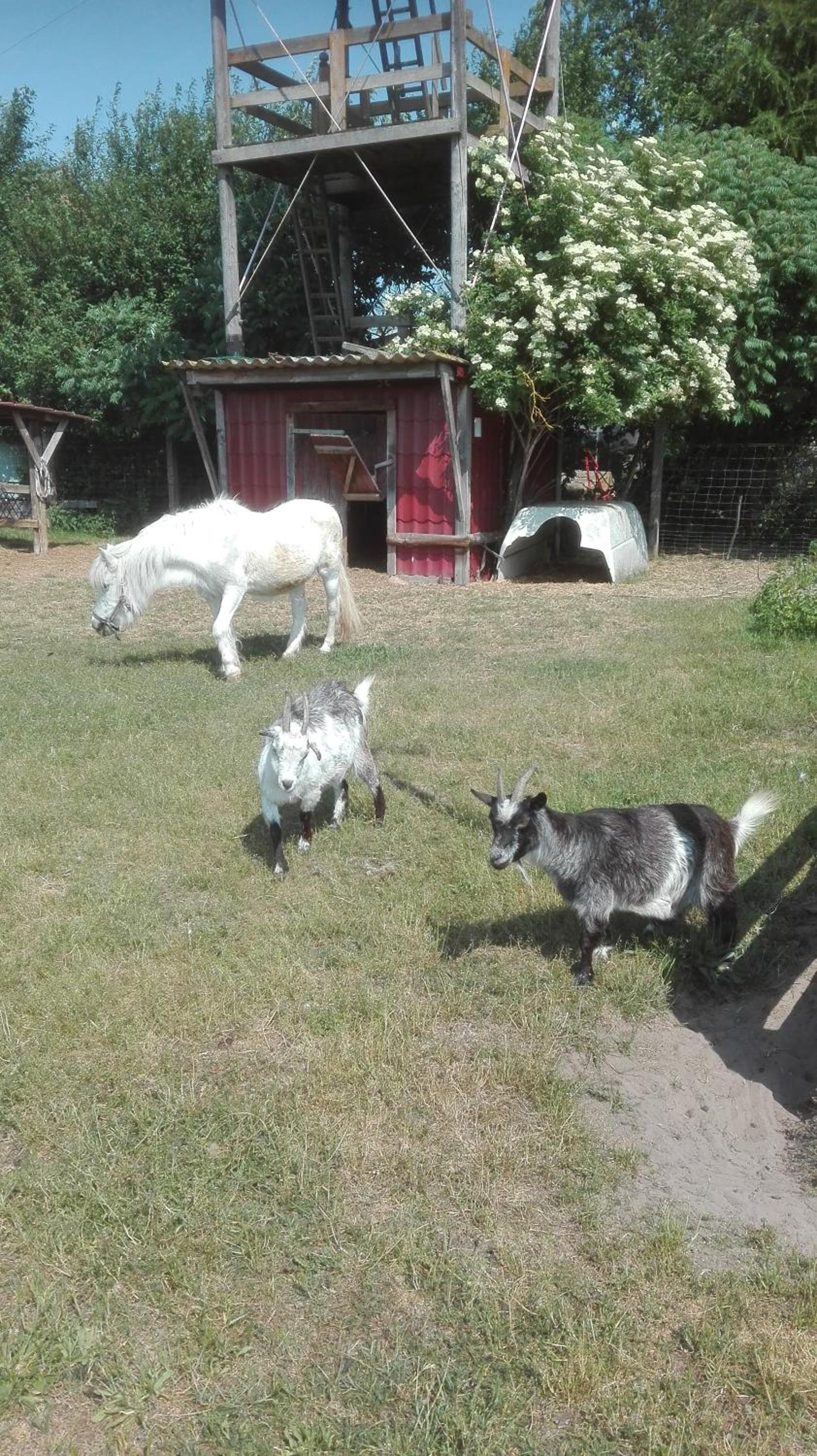Ferien auf dem Lande