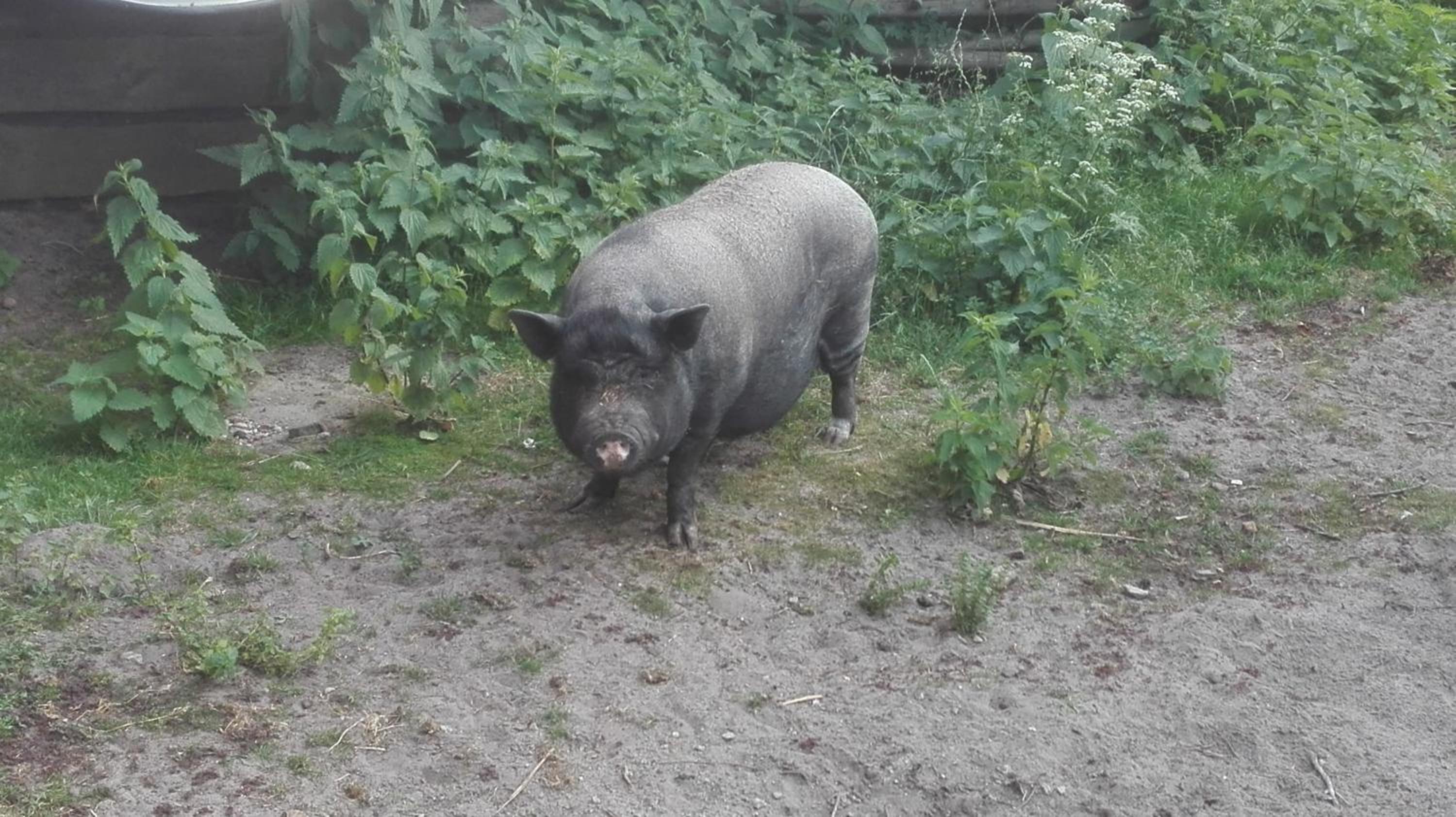 Ferien auf dem Lande