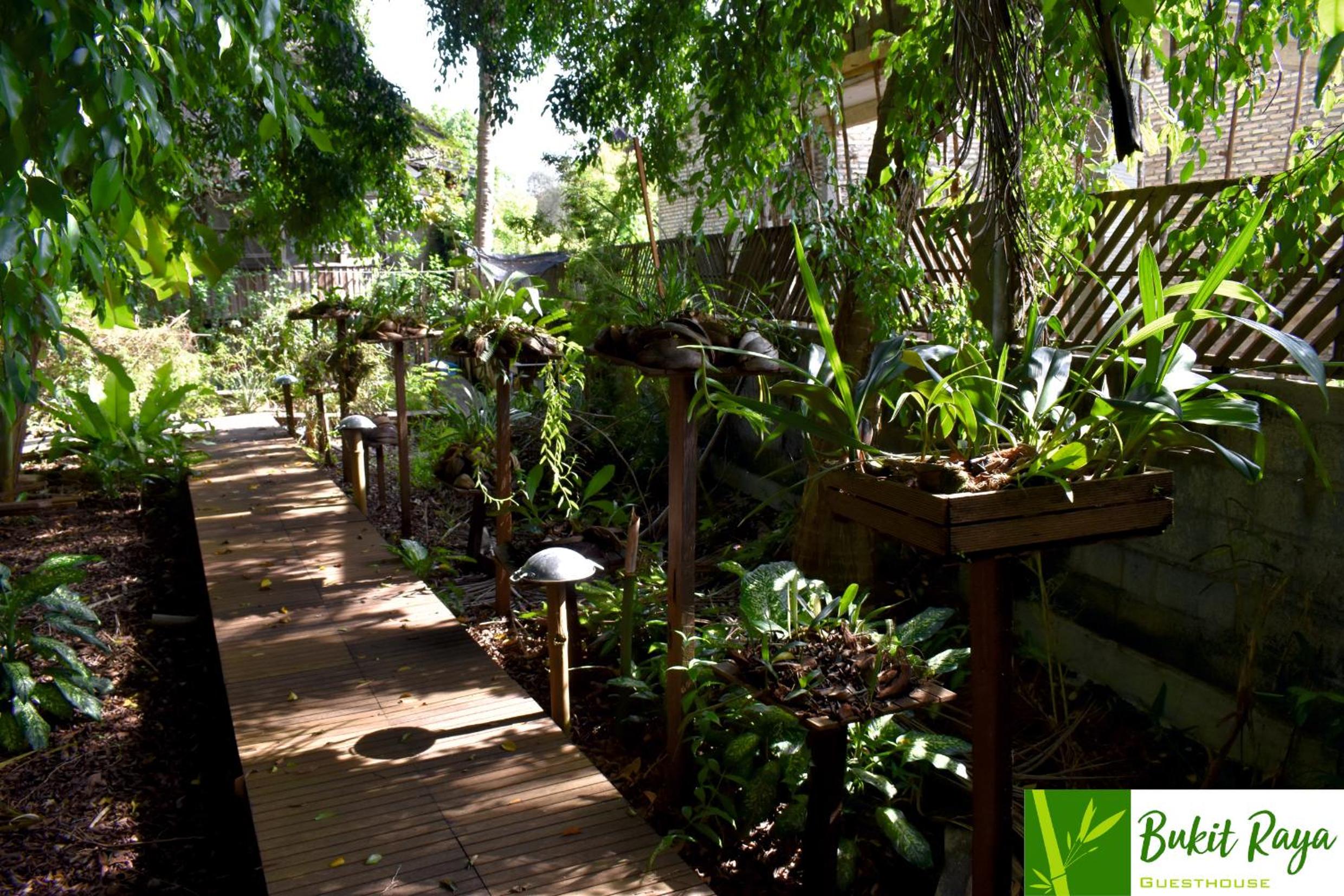Bukit Raya Guesthouse