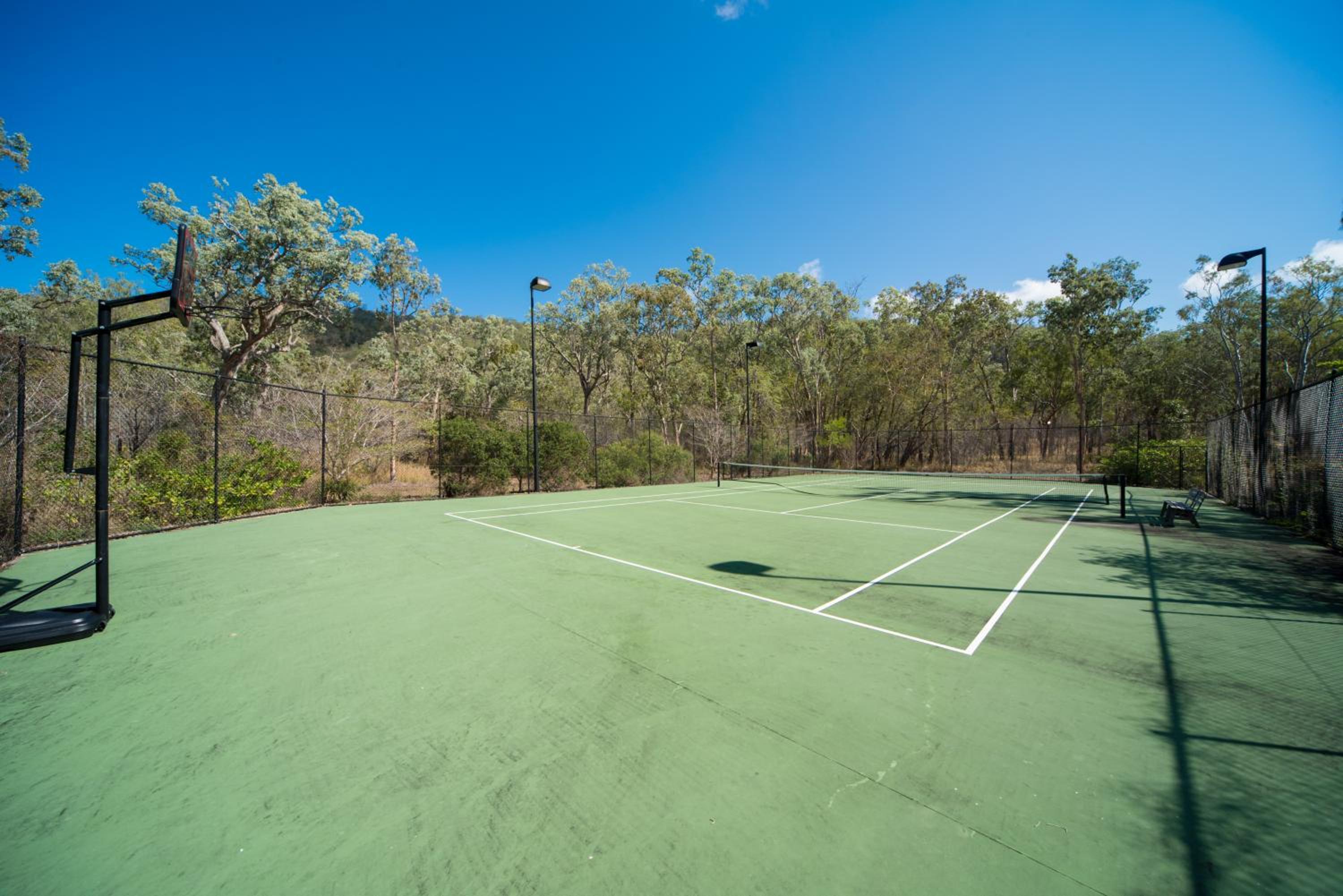 tennis