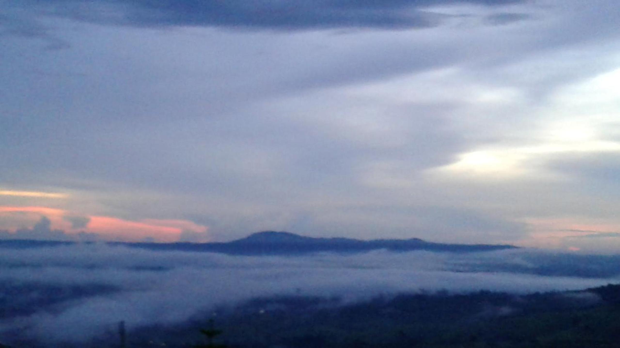 Khao Kho Tree Top
