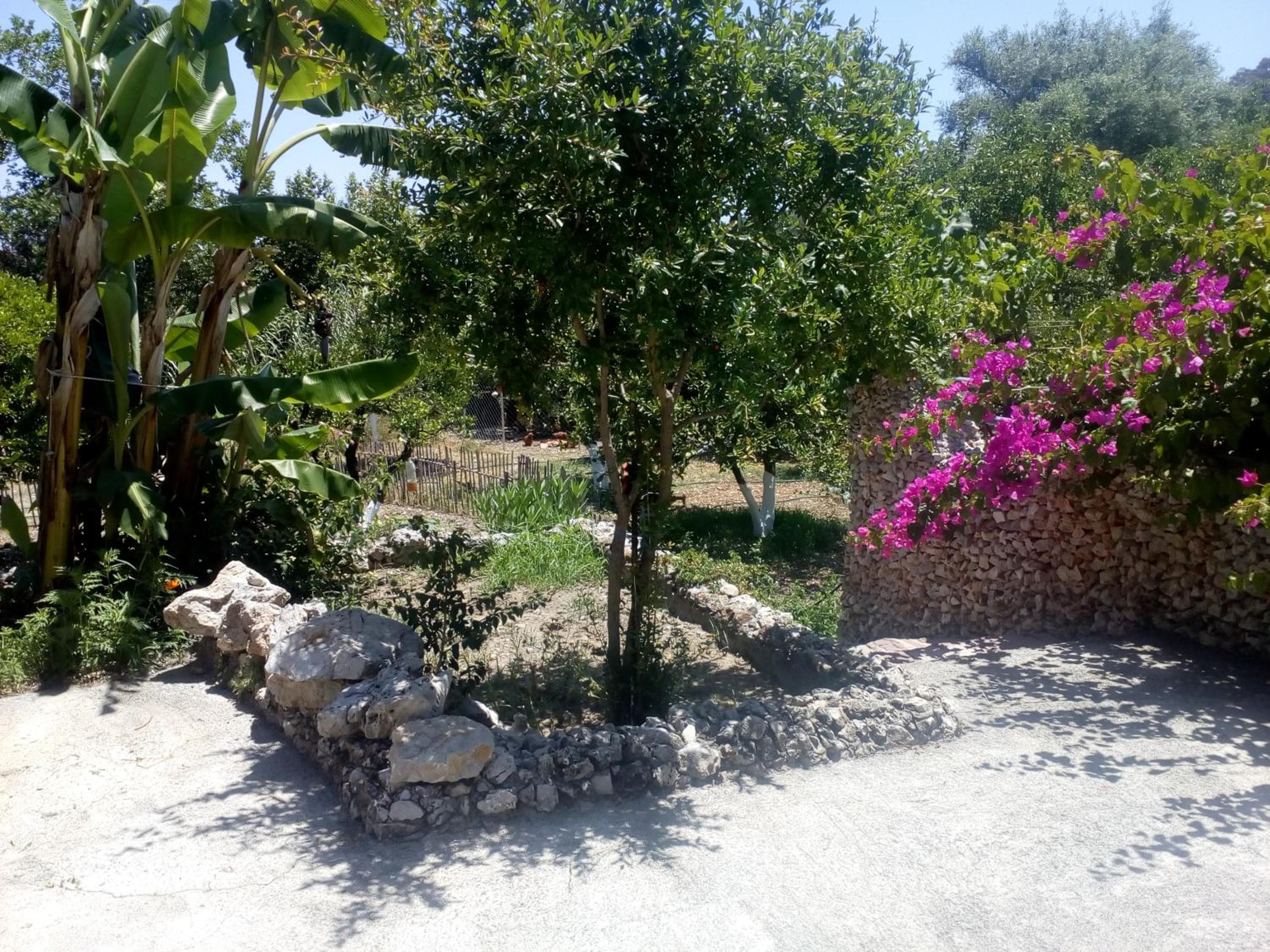 Photo 38