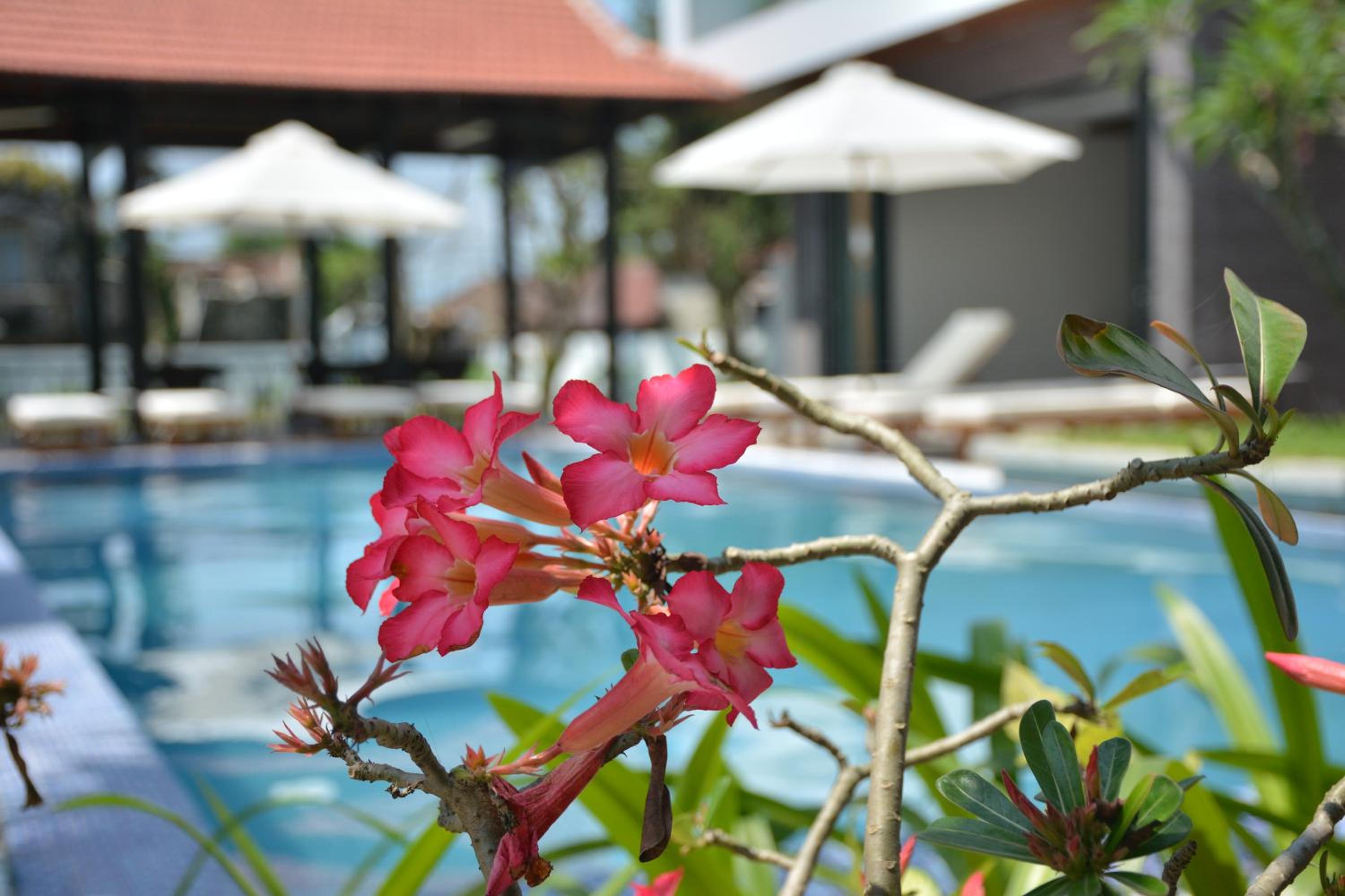Hoi An Reverie Villas