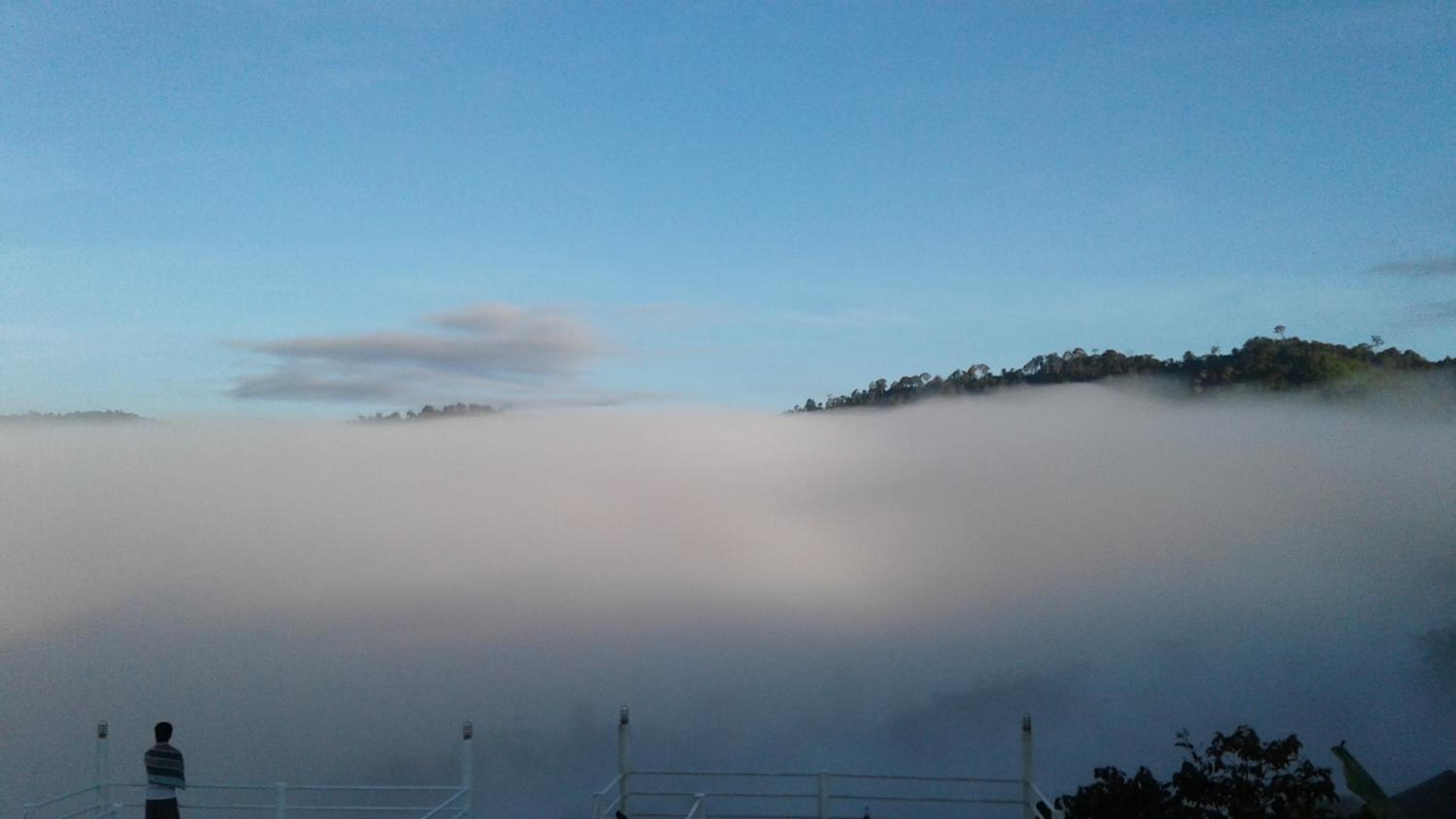 Khao Kho Tree Top