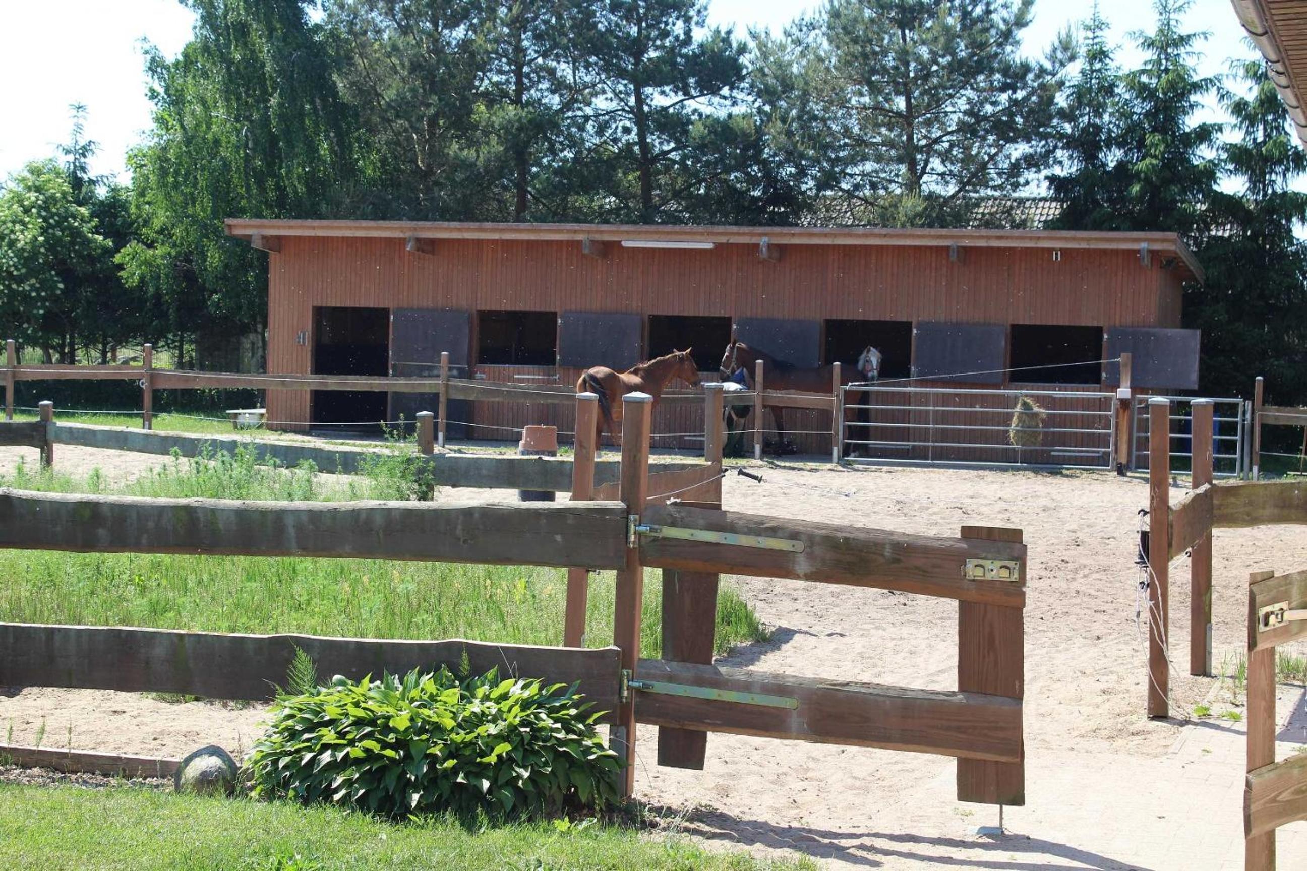 Landhaus Peene view 5