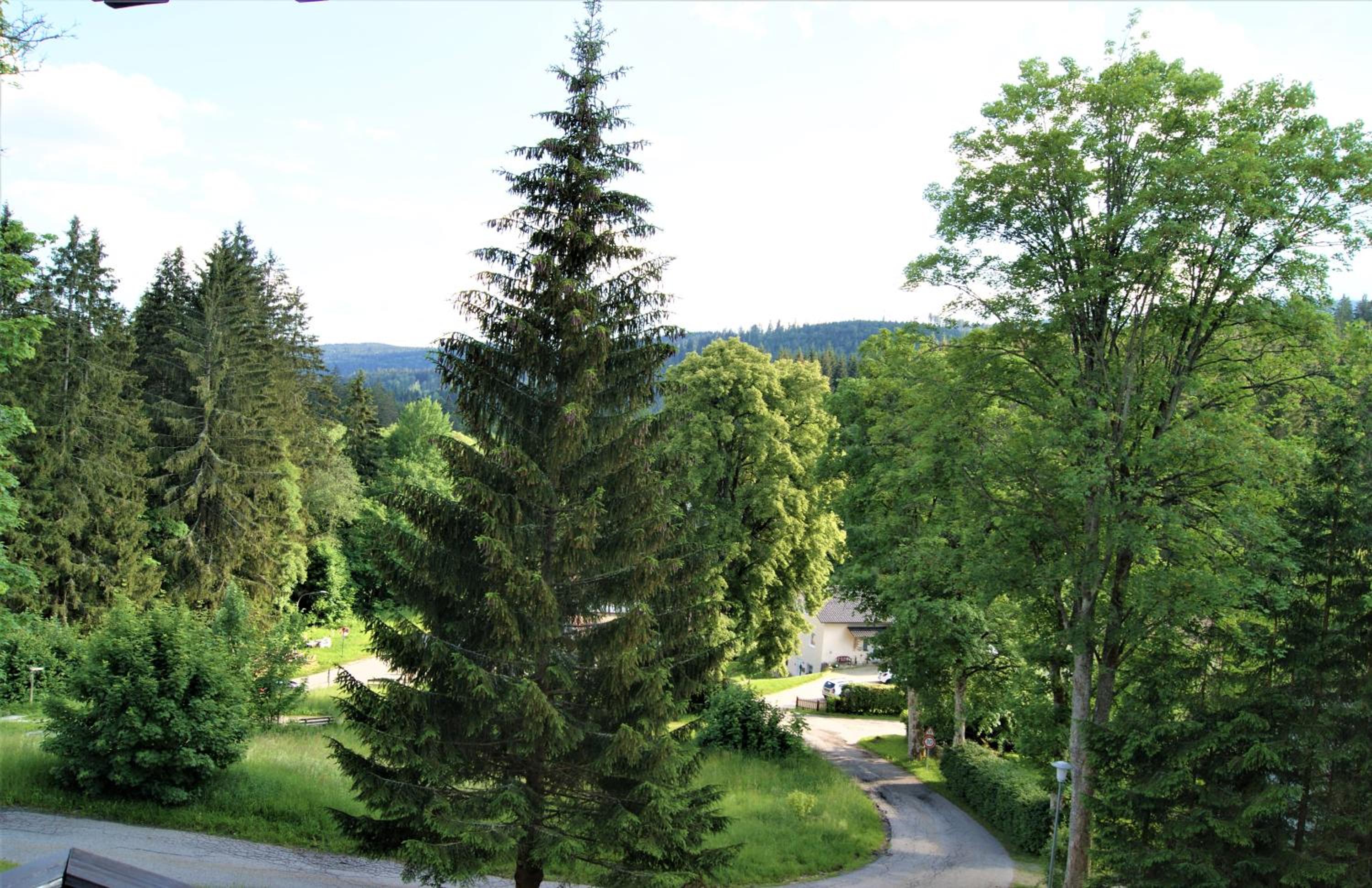 Penzion Sumavacek