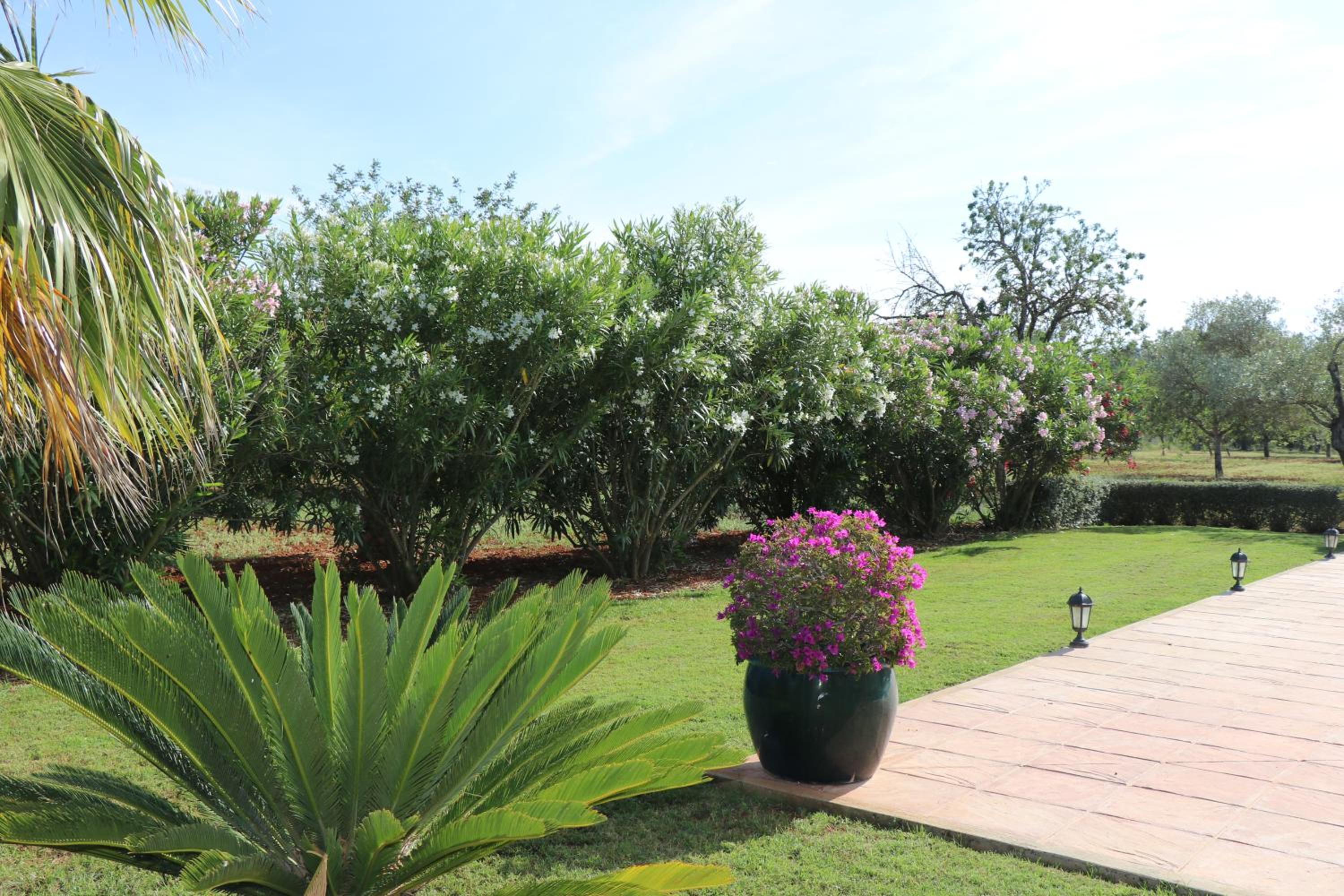 Villa Sa Vinyeta view 3