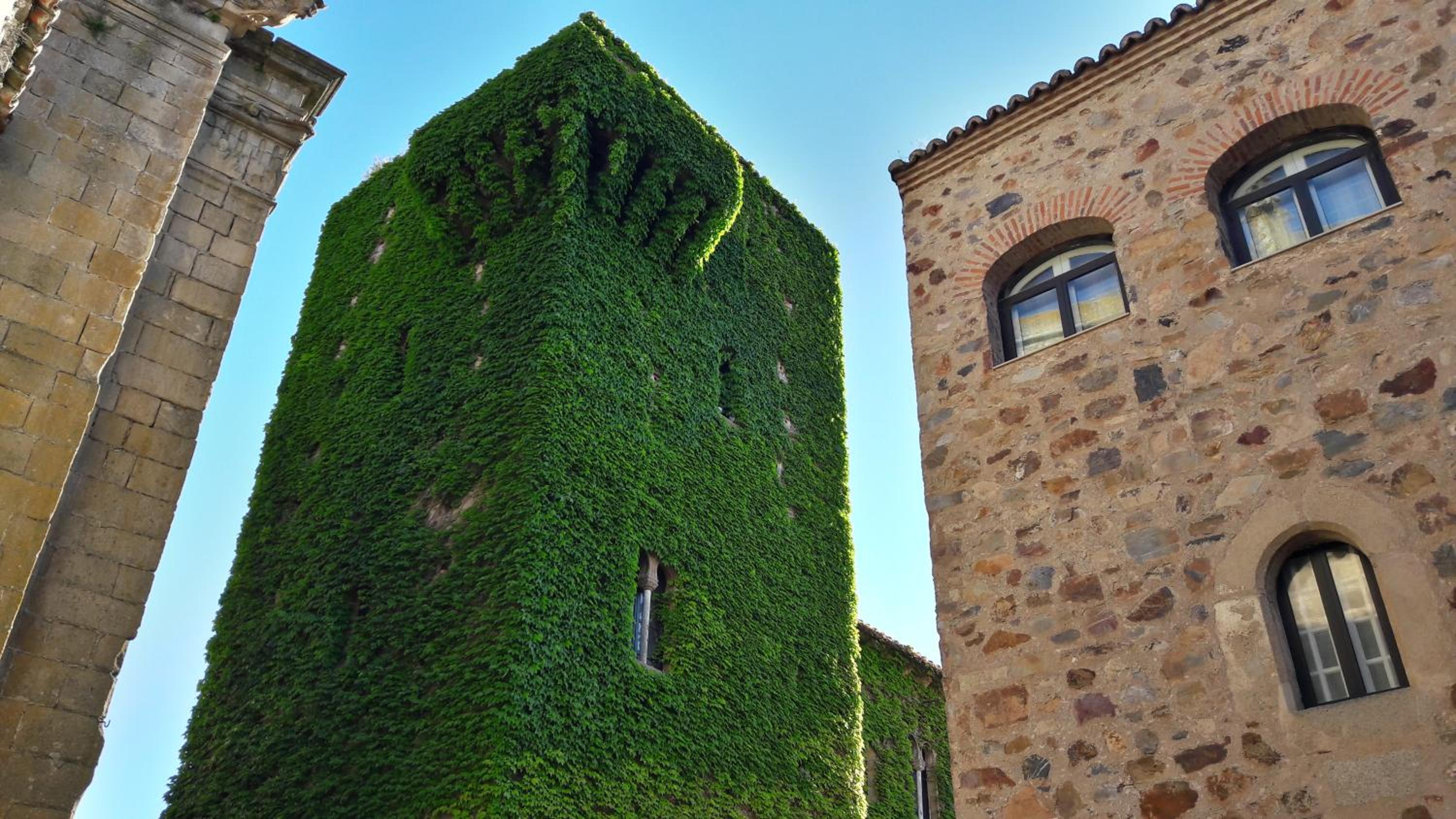 building