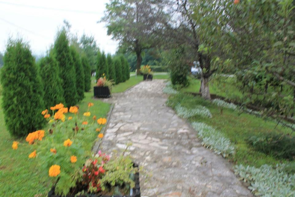 Photo 43