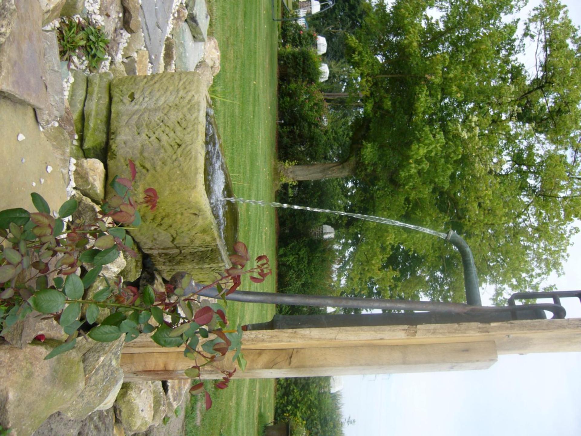 Photo 43