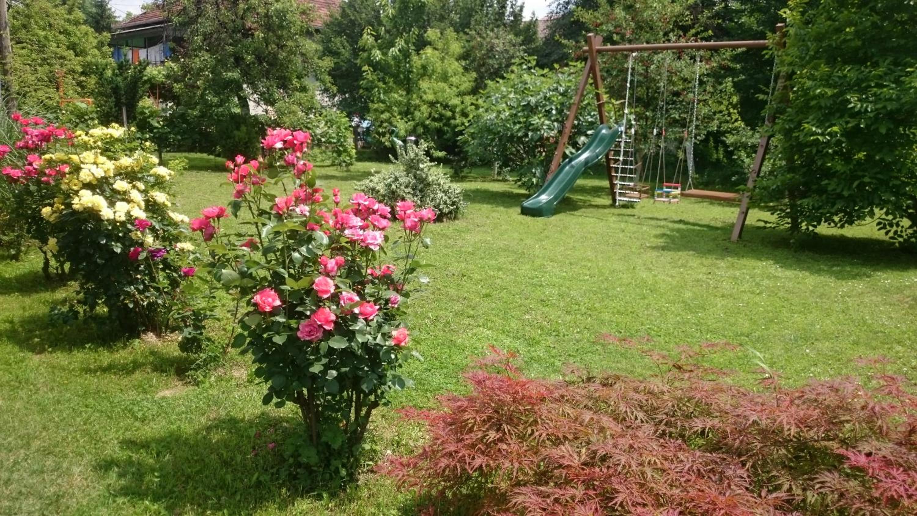 Photo 35