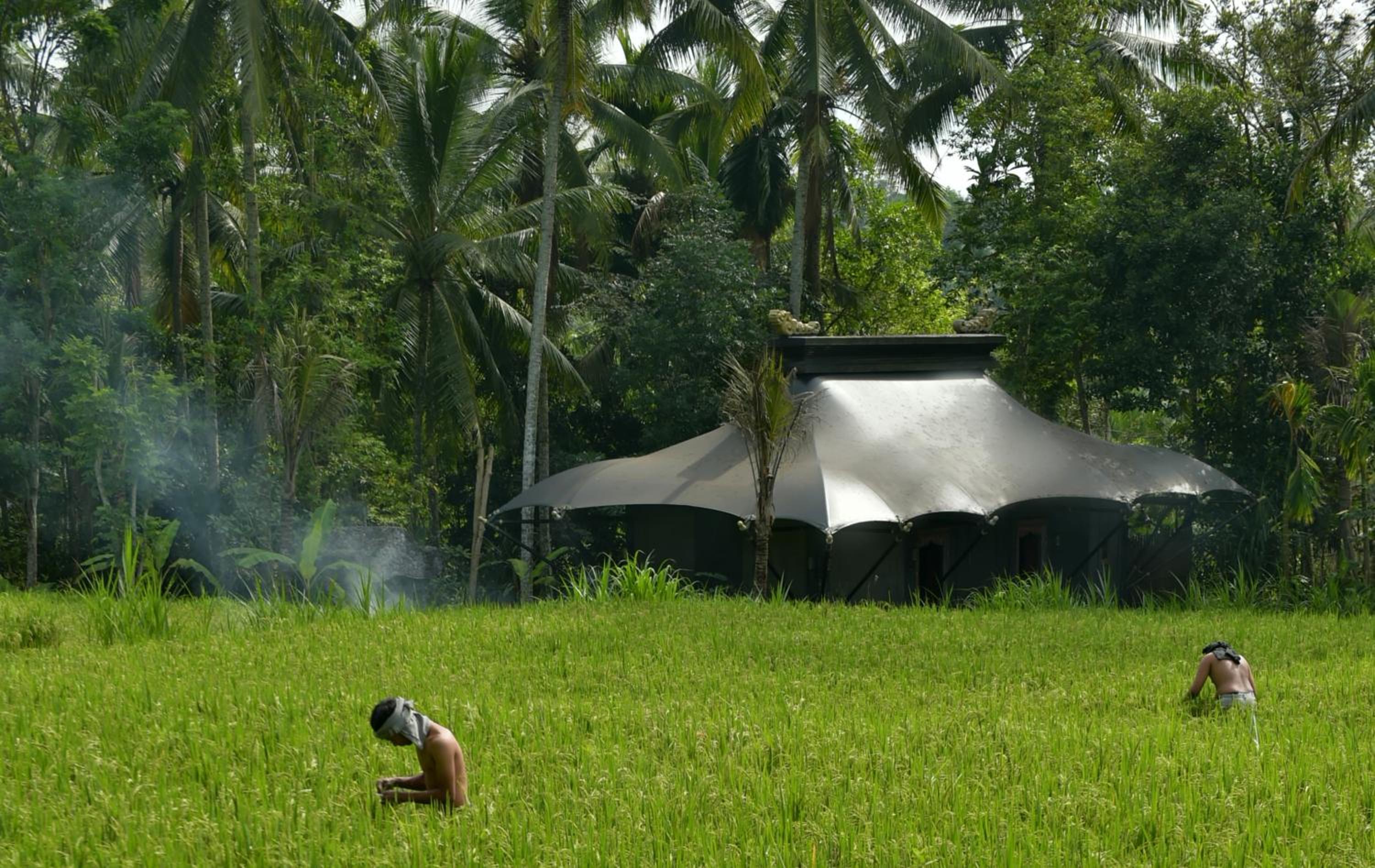 Capella Ubud, Bali