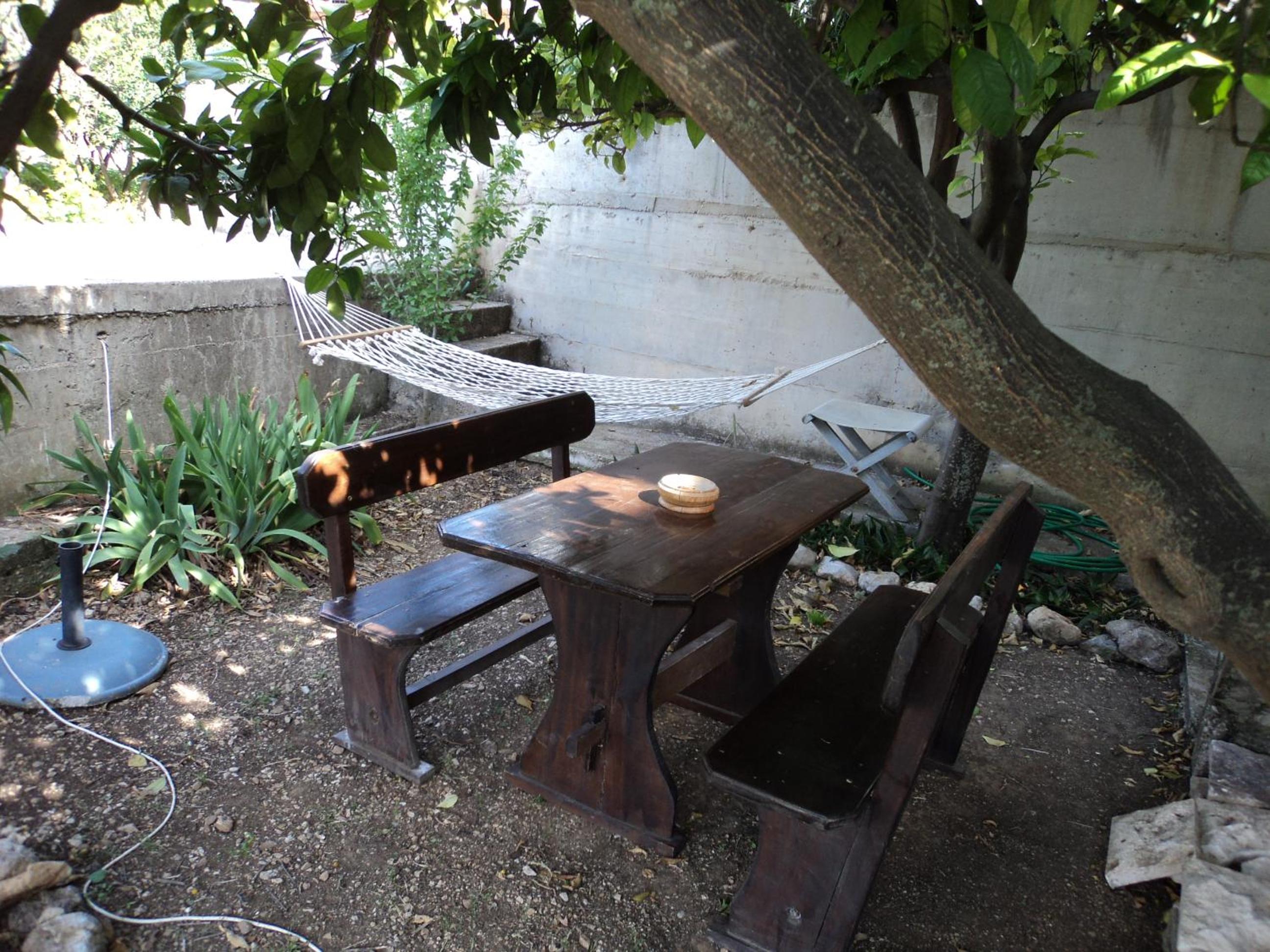 Photo 29