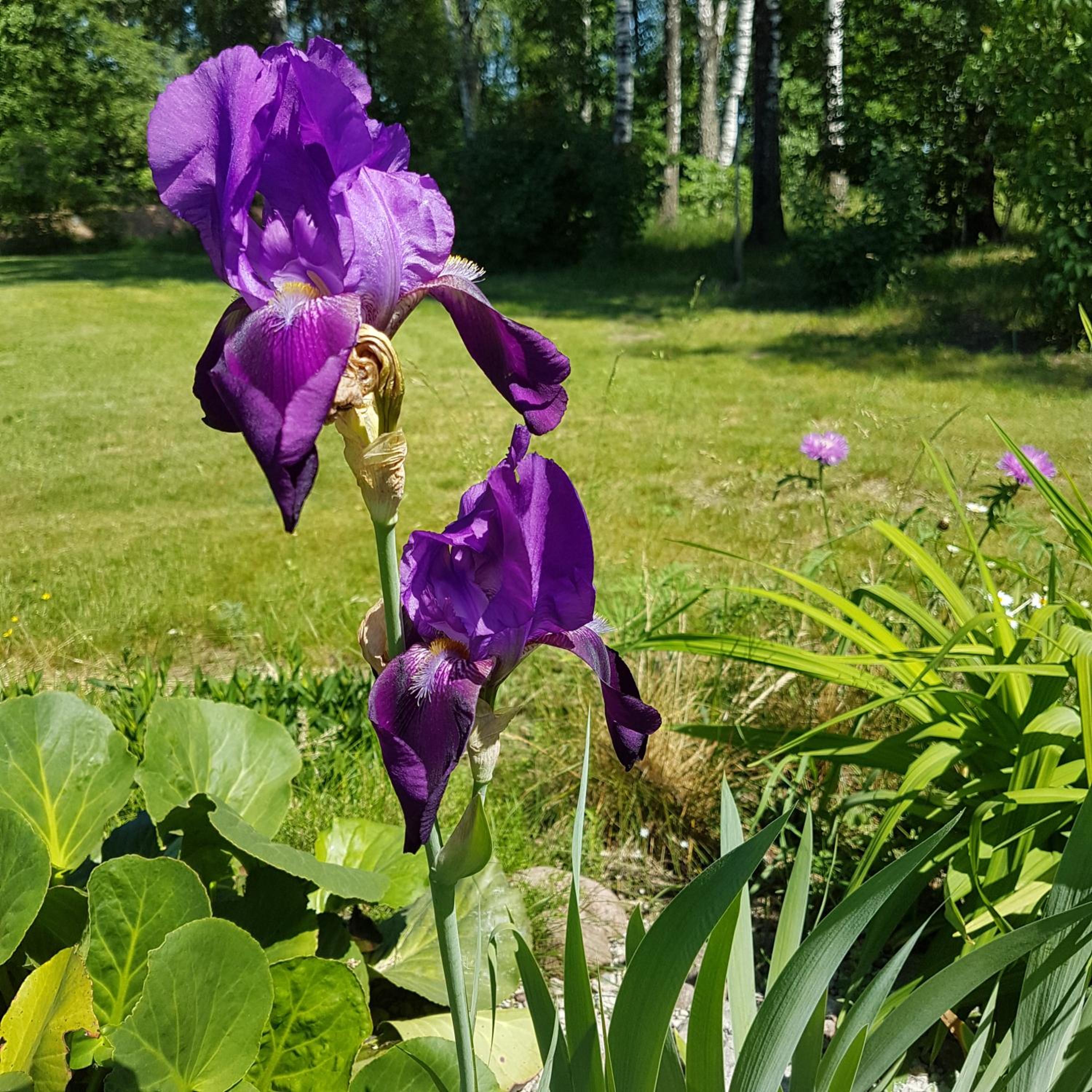 Photo 26