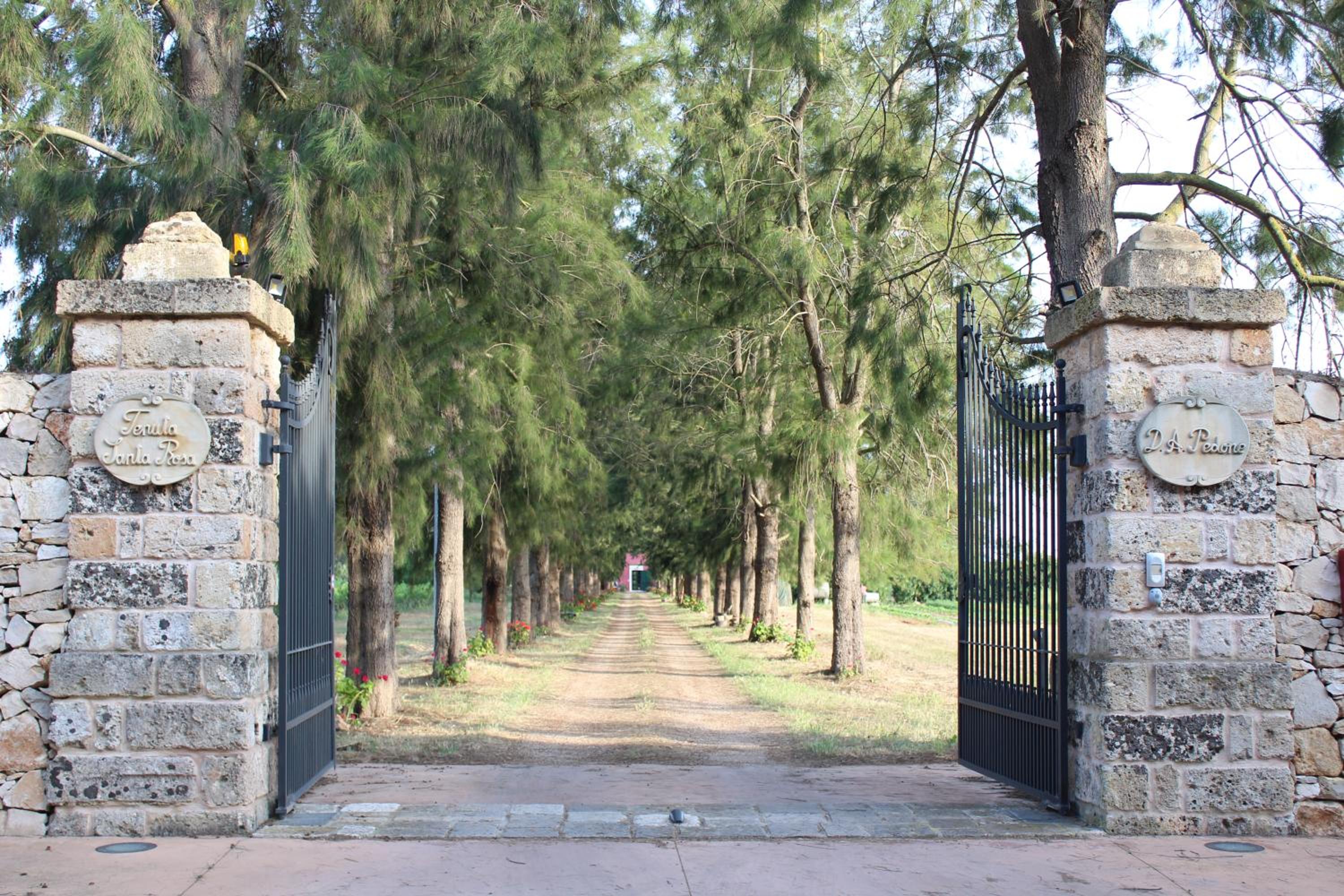 Tenuta Santa Rosa view 3