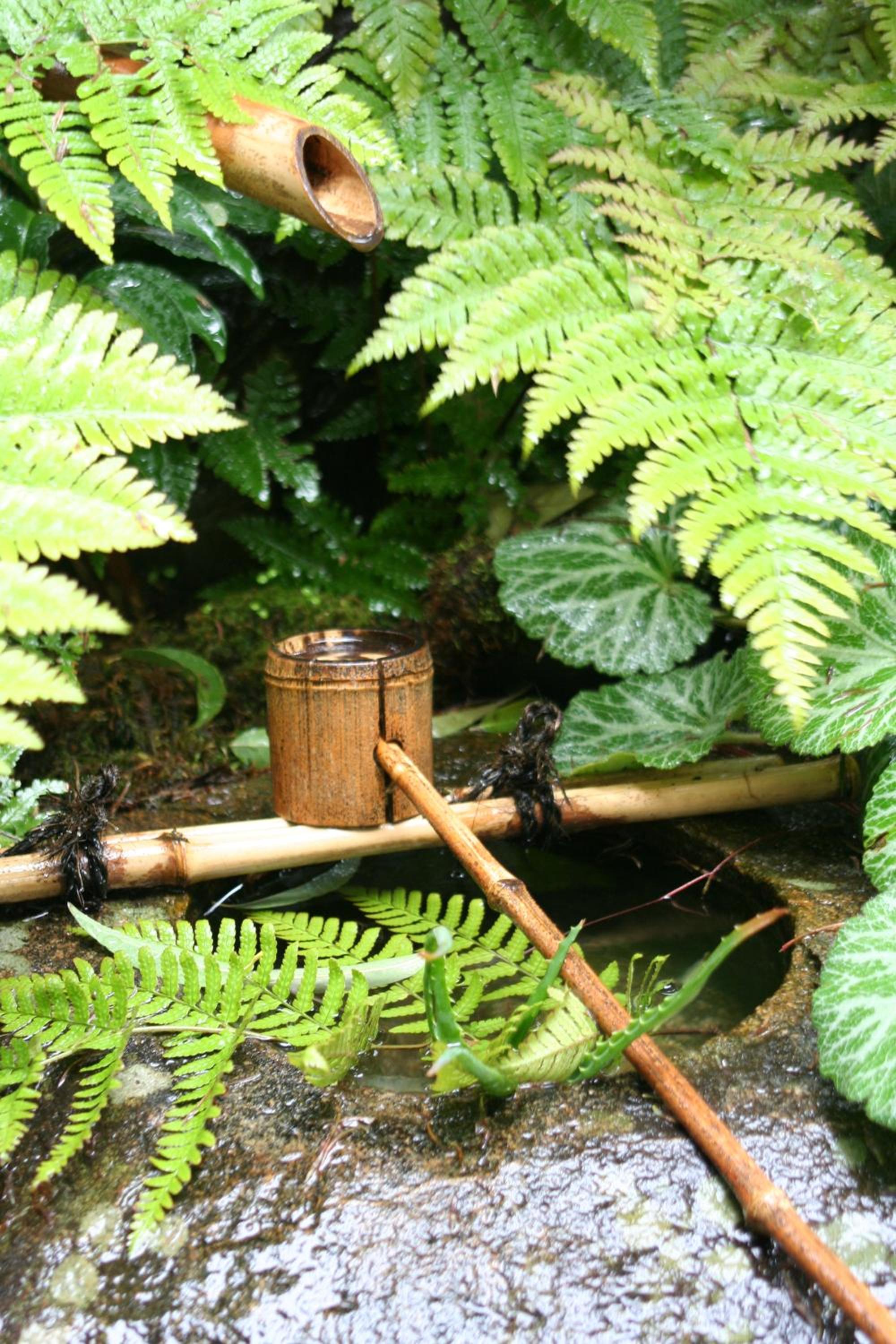 Kamuroan