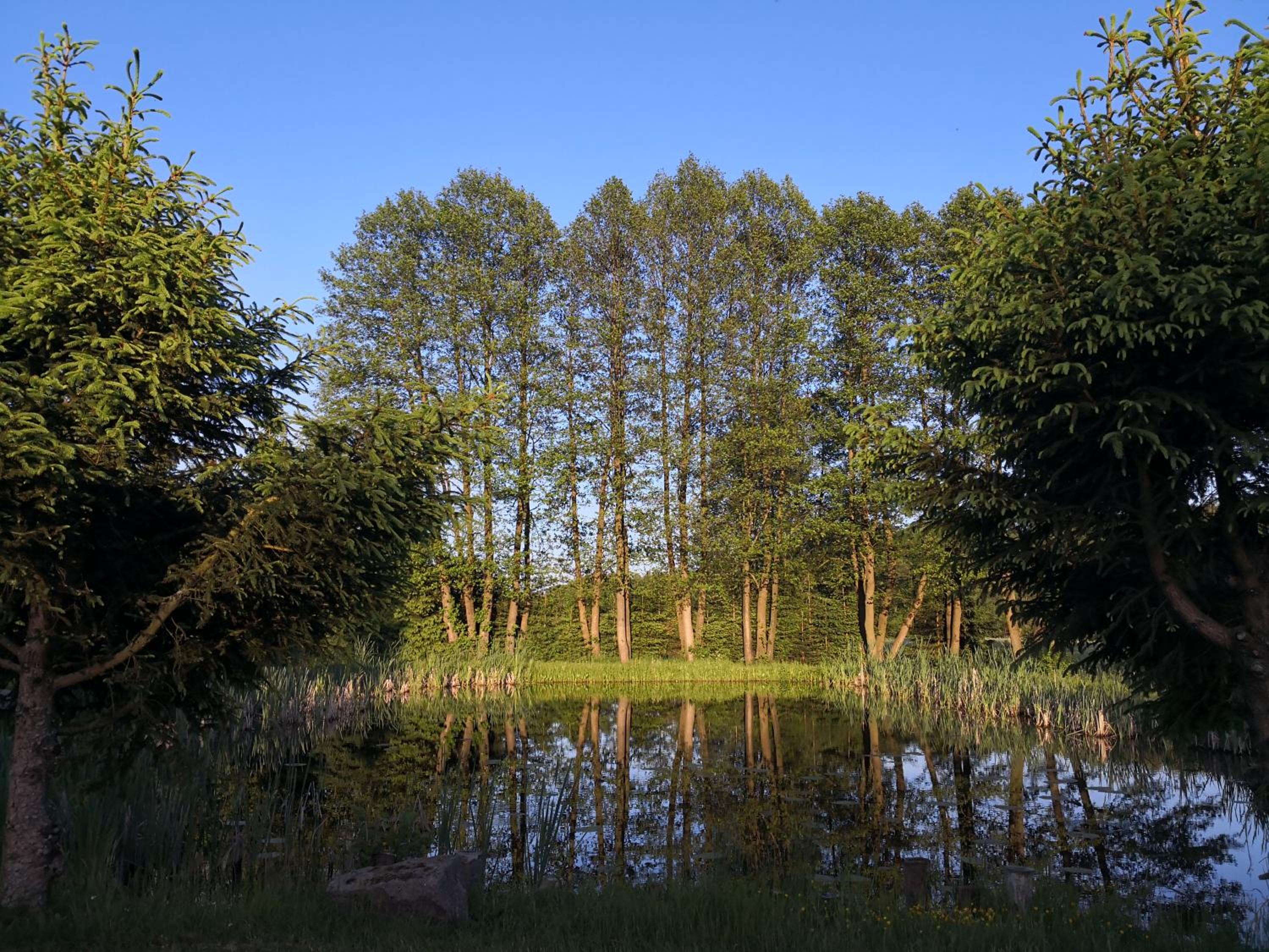 POD ORŁEM view 2