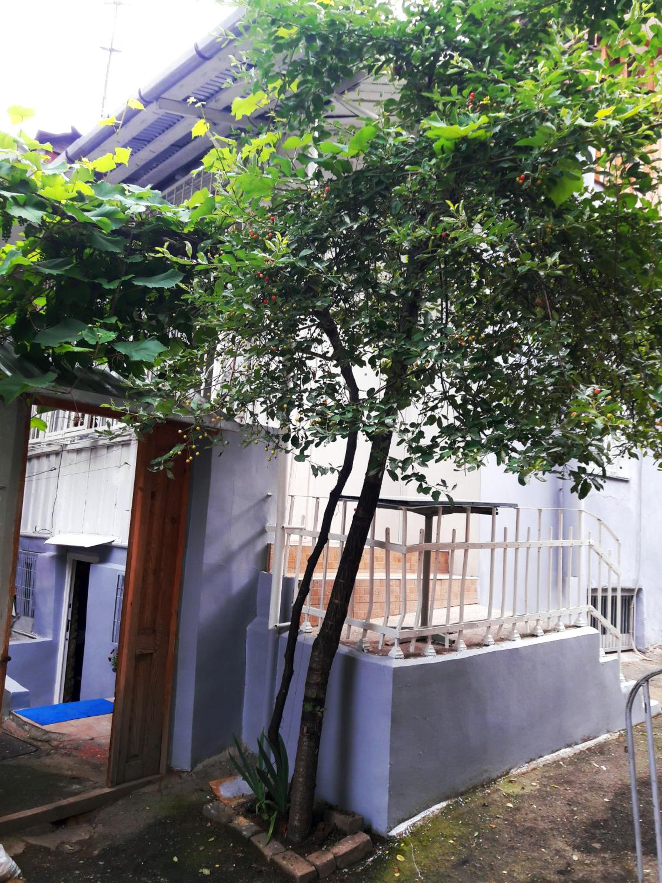 Gulo's Home view 5