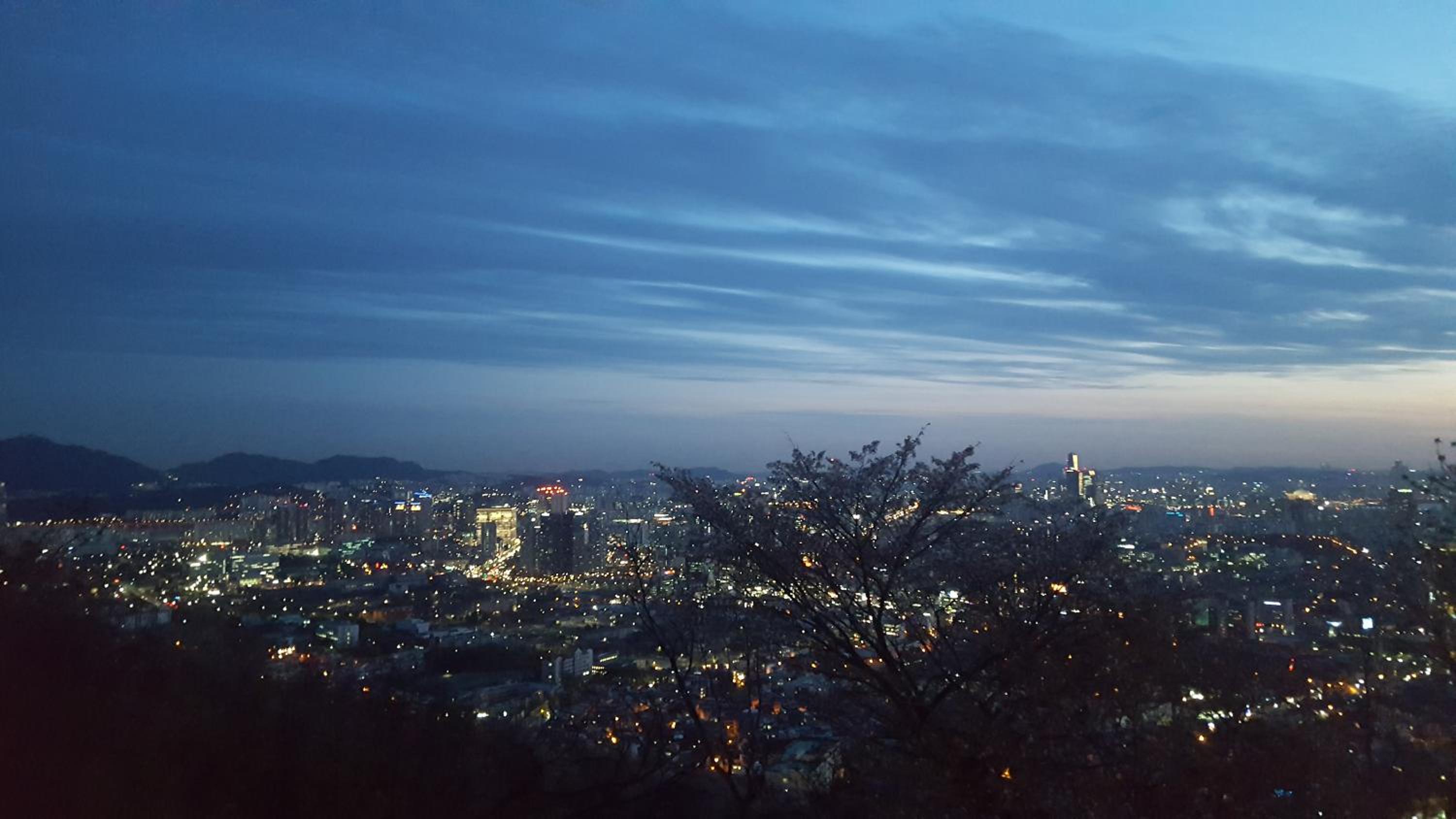 Seoul Forest Stay