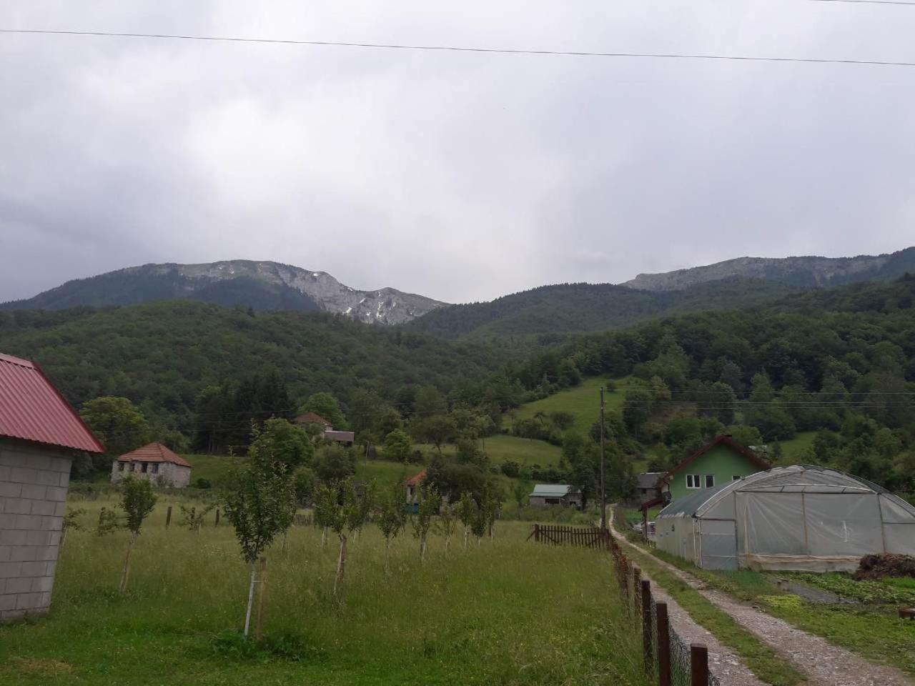 Photo 45